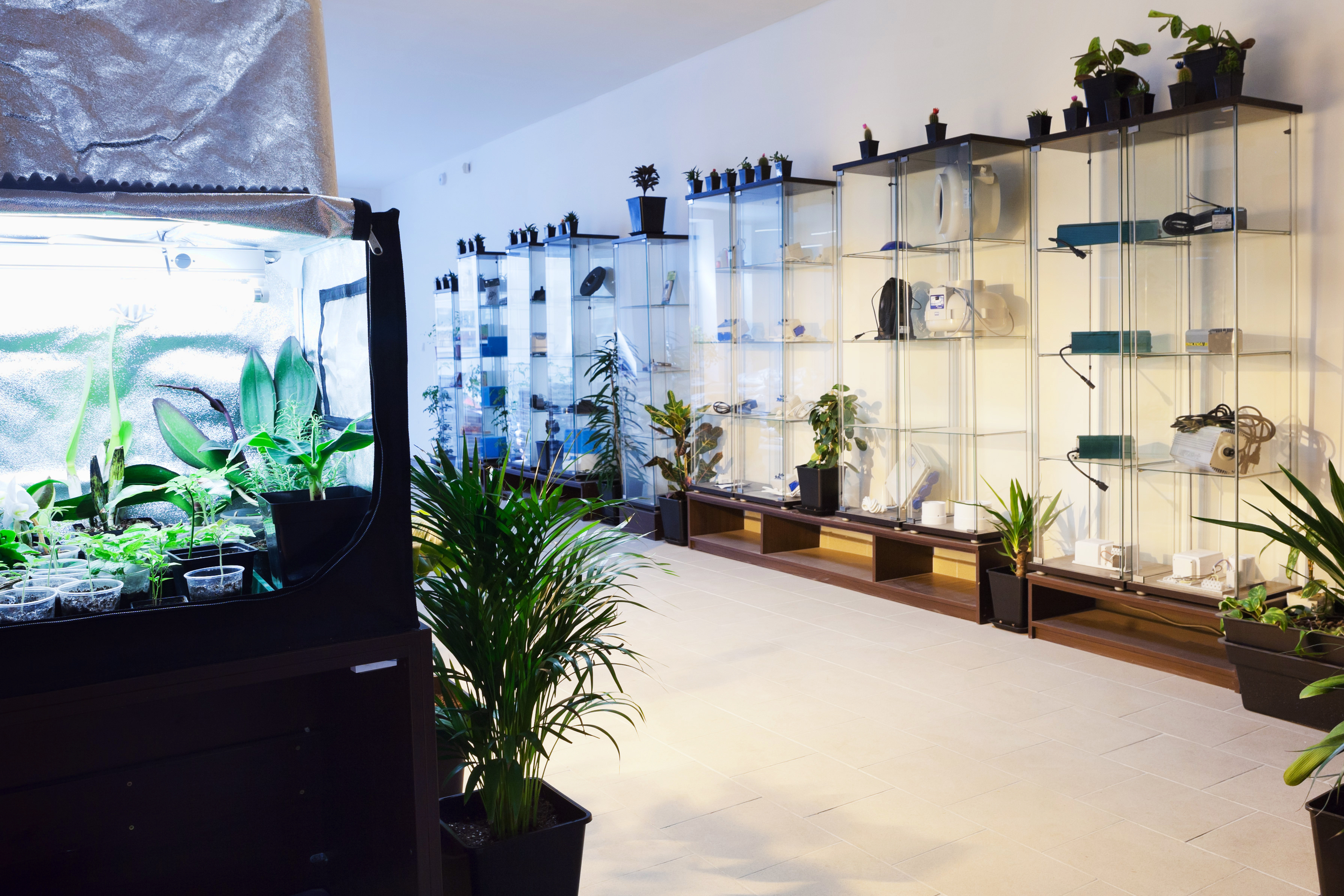 My-Garden growshop foto 3