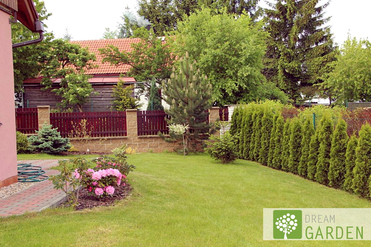 Dream Garden foto 6