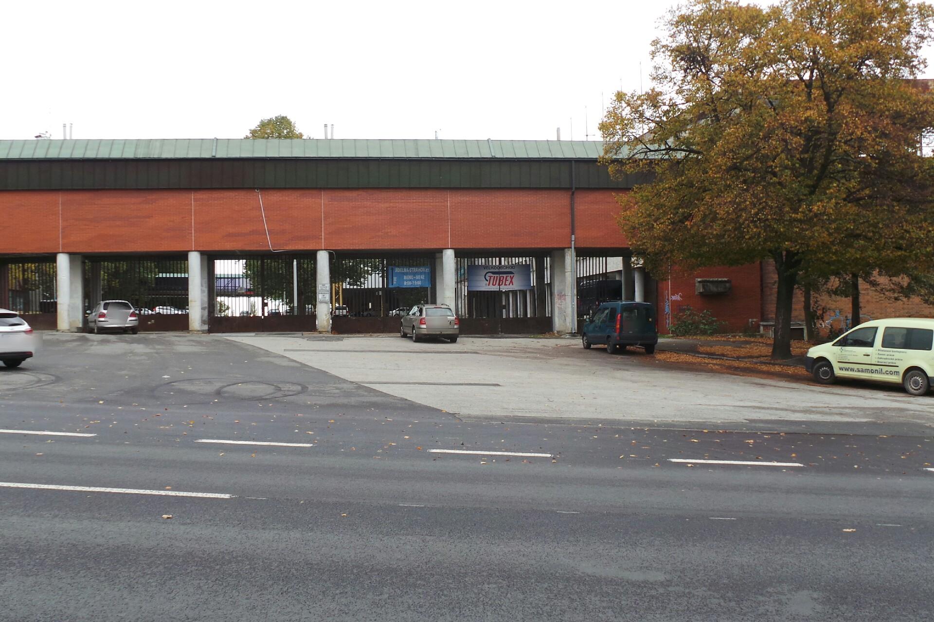 Český veslařský svaz foto 1