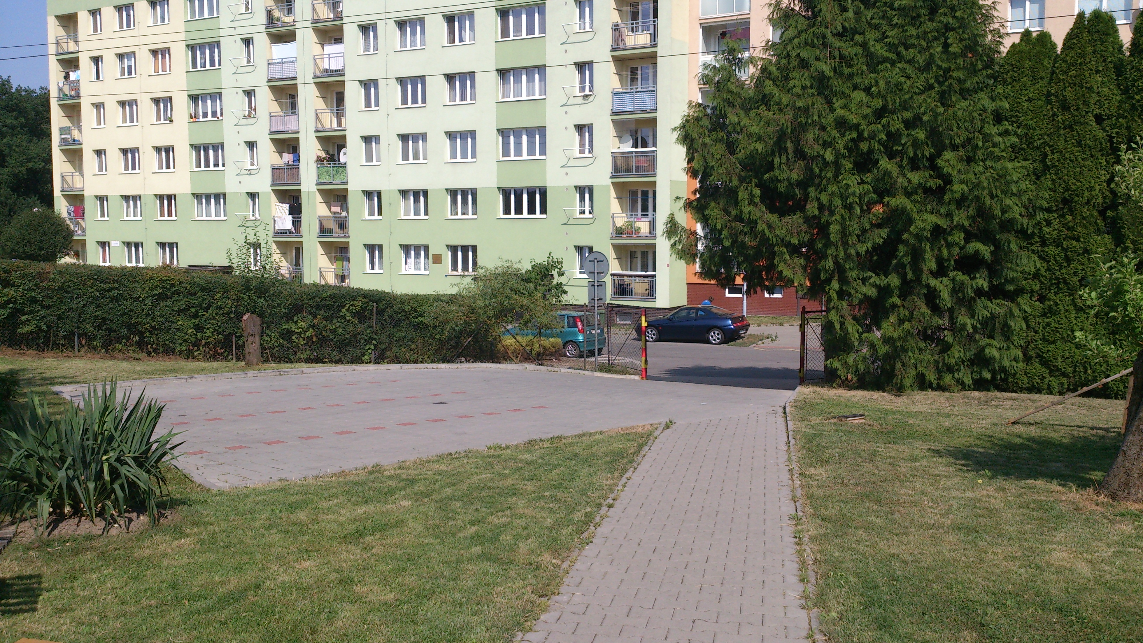 Pes v papučích foto 4