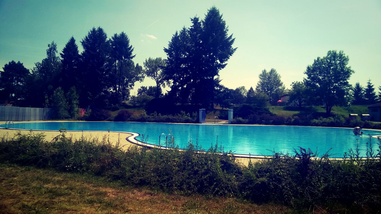 Přírodní koupací biotop Kosmonosy foto 3