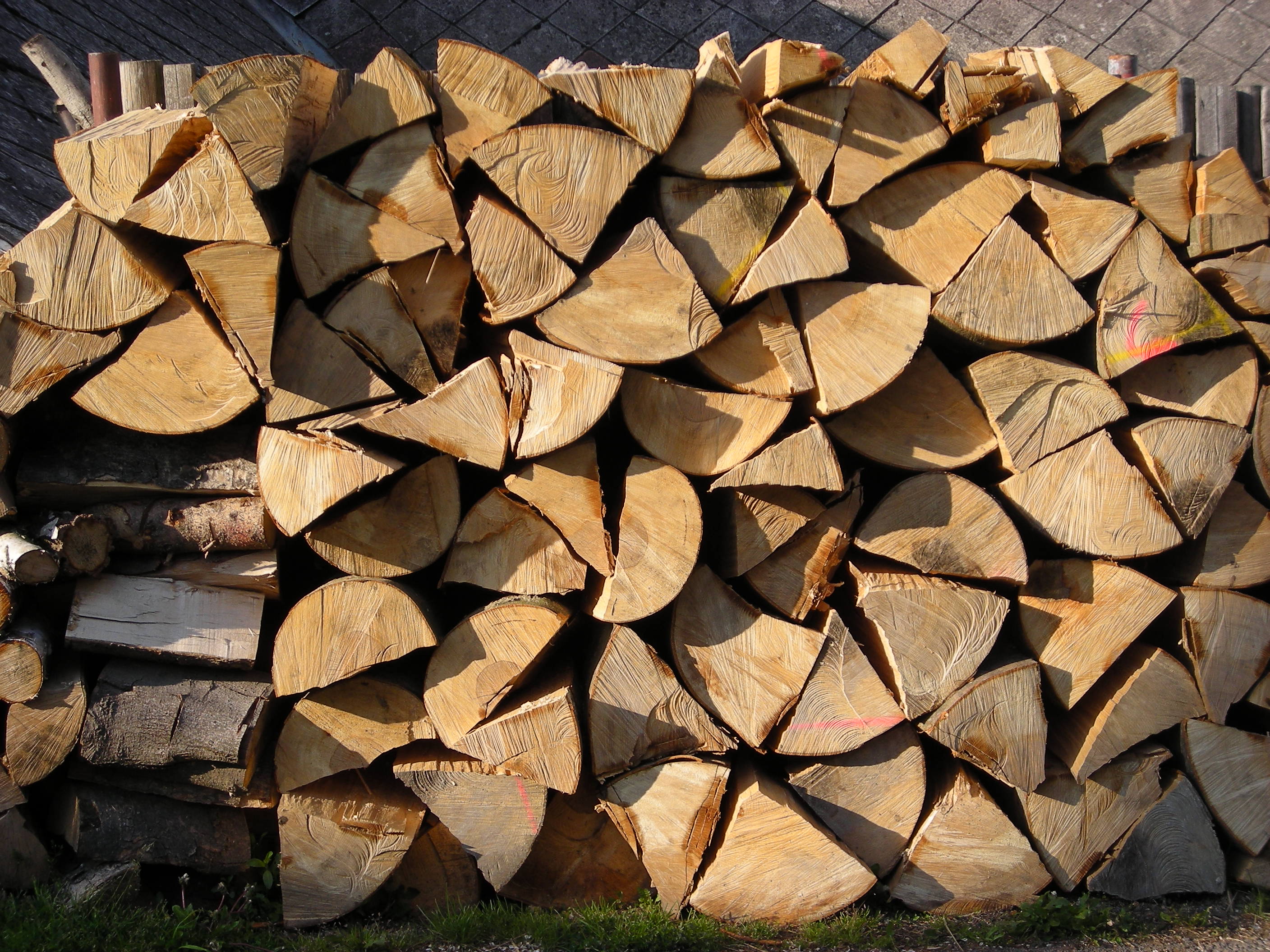 Jakub Konopáč - palivové dřevo foto 3
