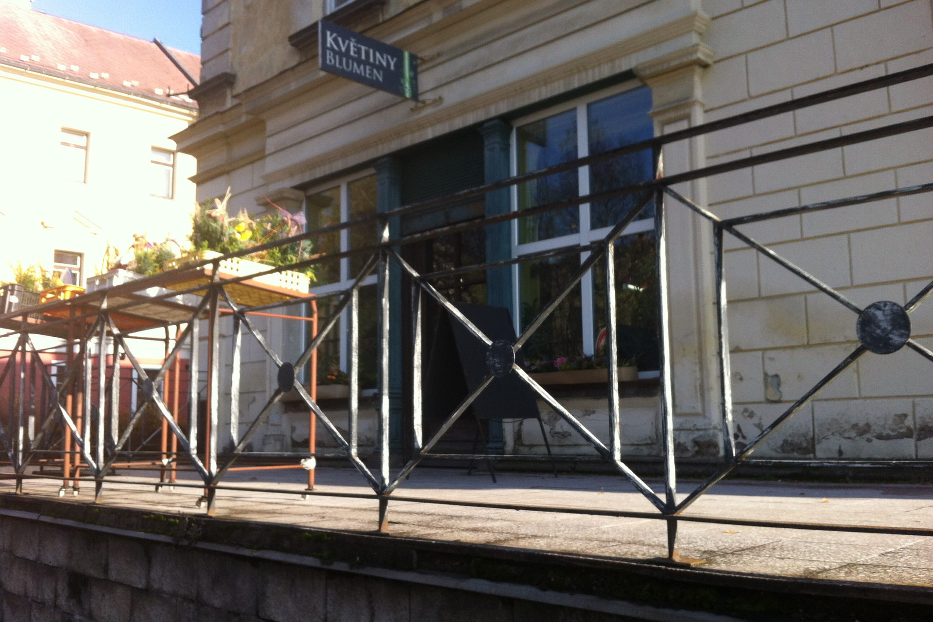 Květiny Rycyk Vilém