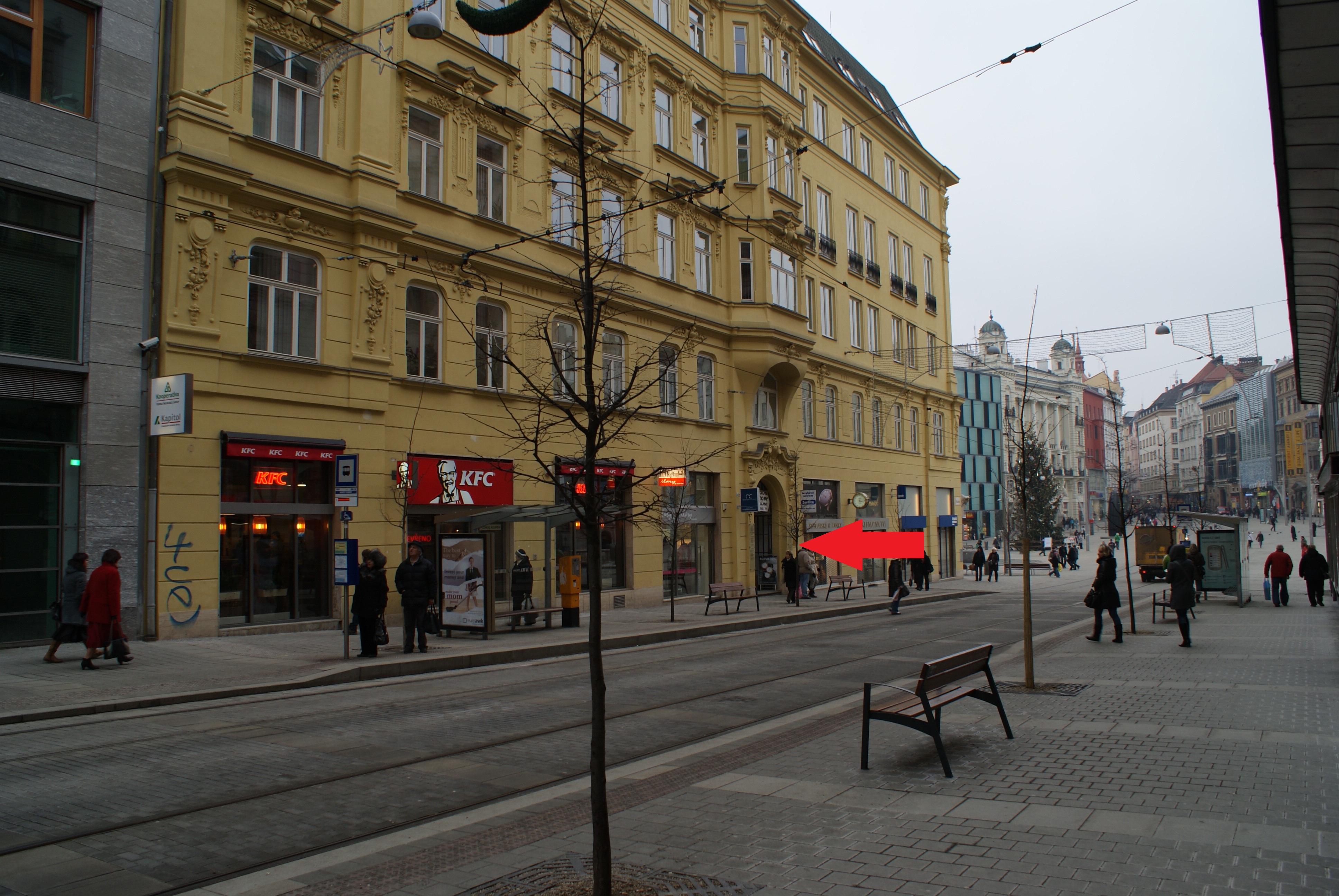 AustraliaOnline - studium a práce v Austrálii foto 4