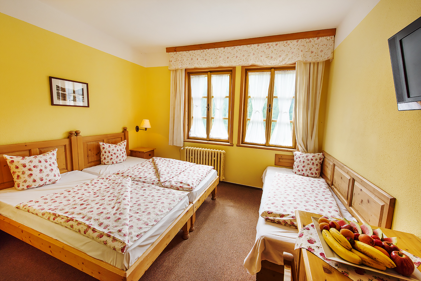 Alpský hotel foto 2
