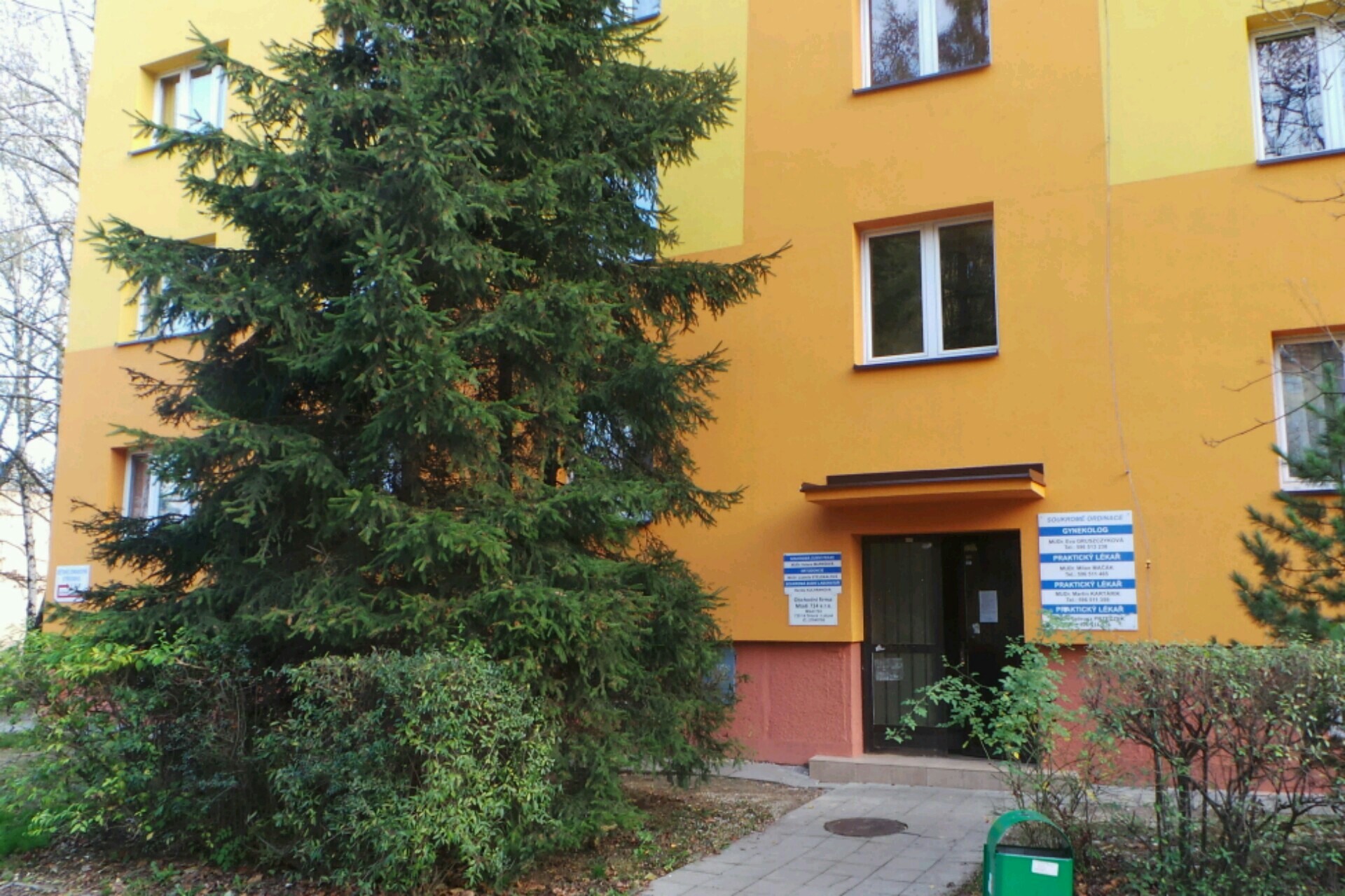 Renáta Kulhánková - Zubař