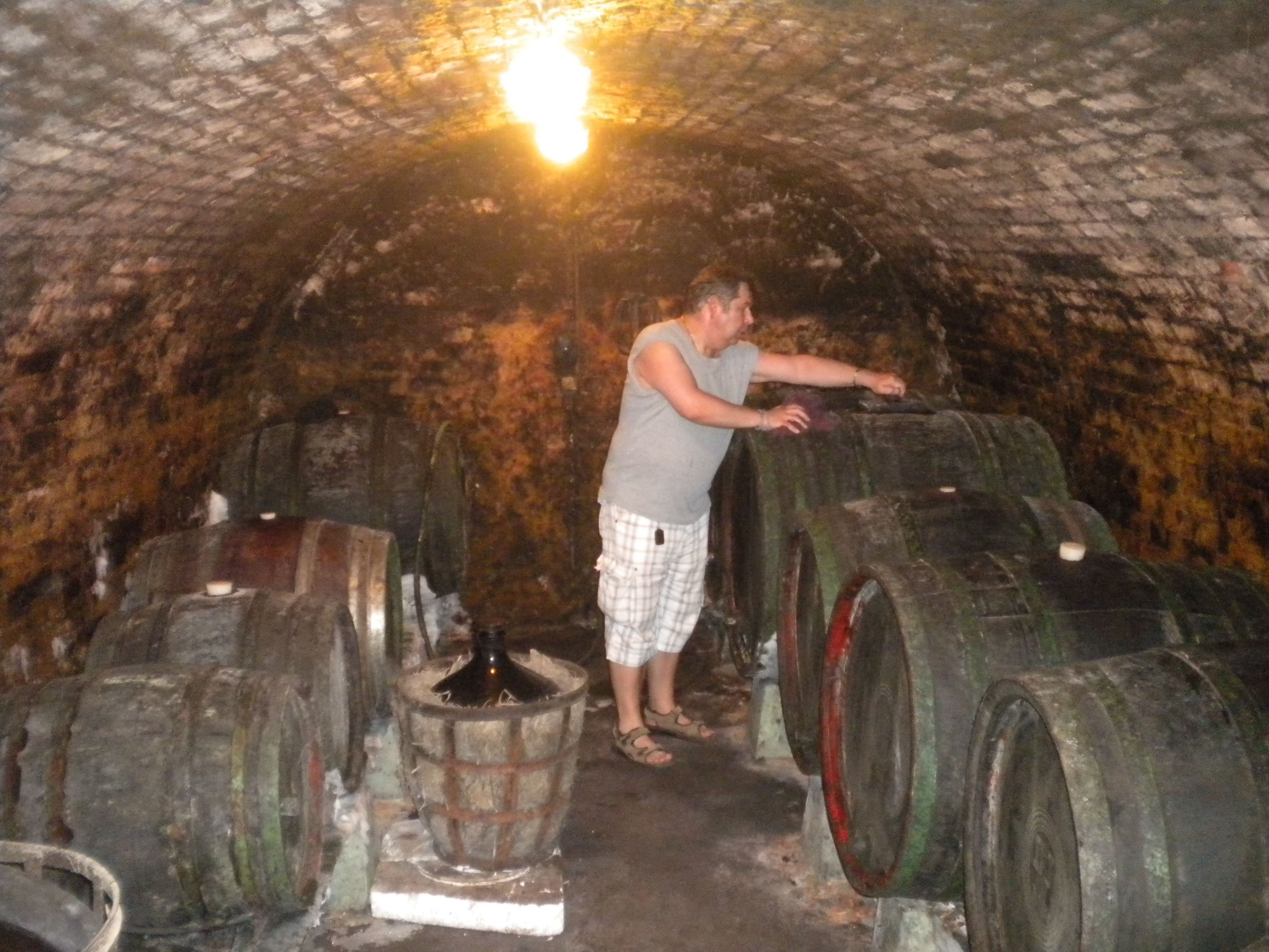 Sklípek U Petra foto 2