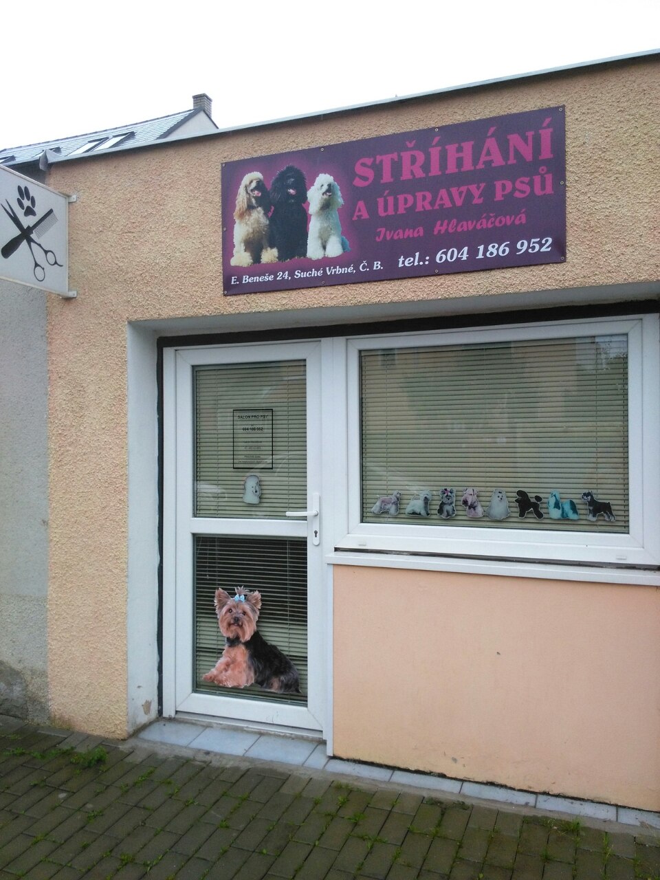Ivana Hlaváčová - psí salon foto 2