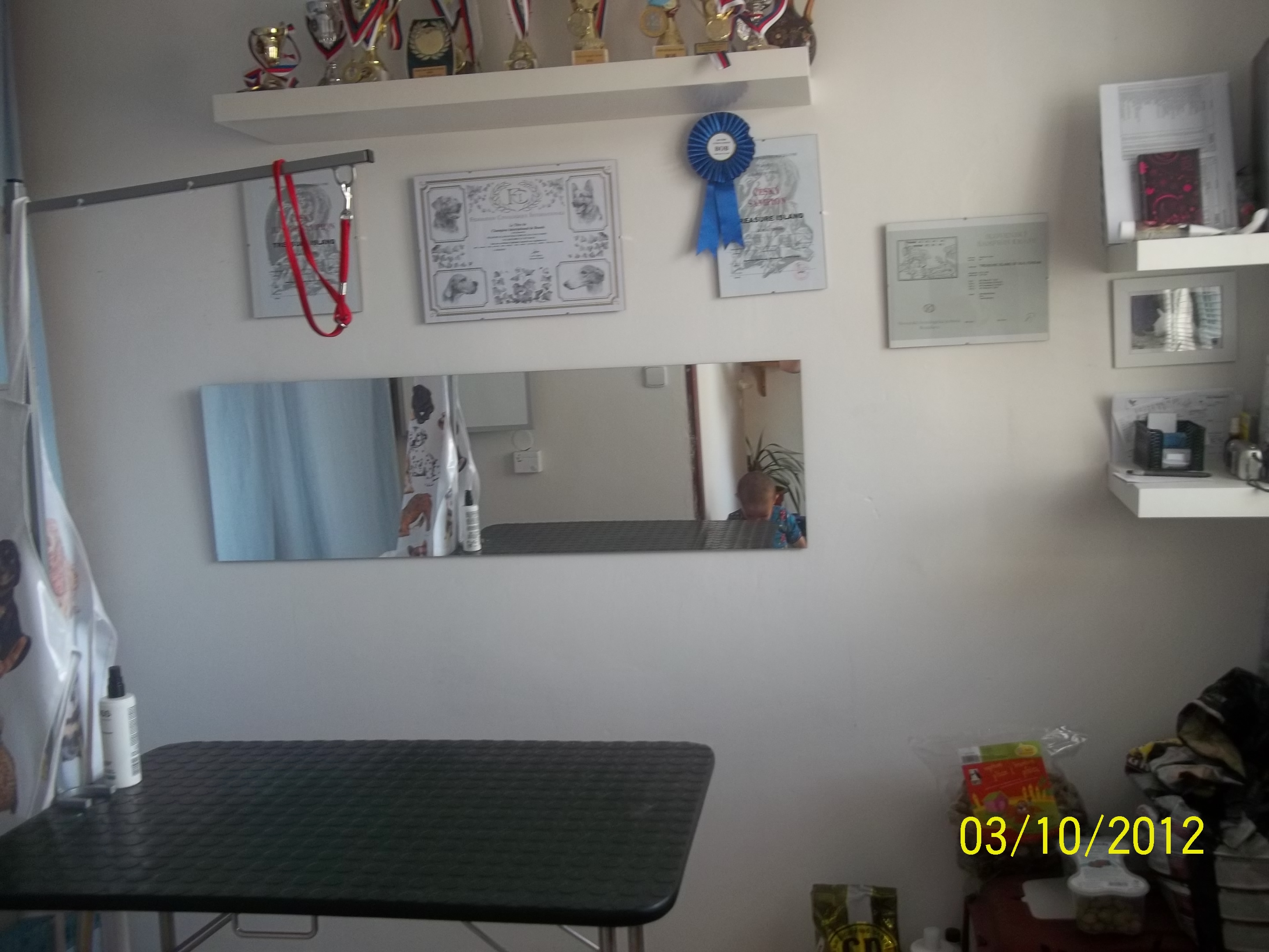 Psí salon Viky foto 3