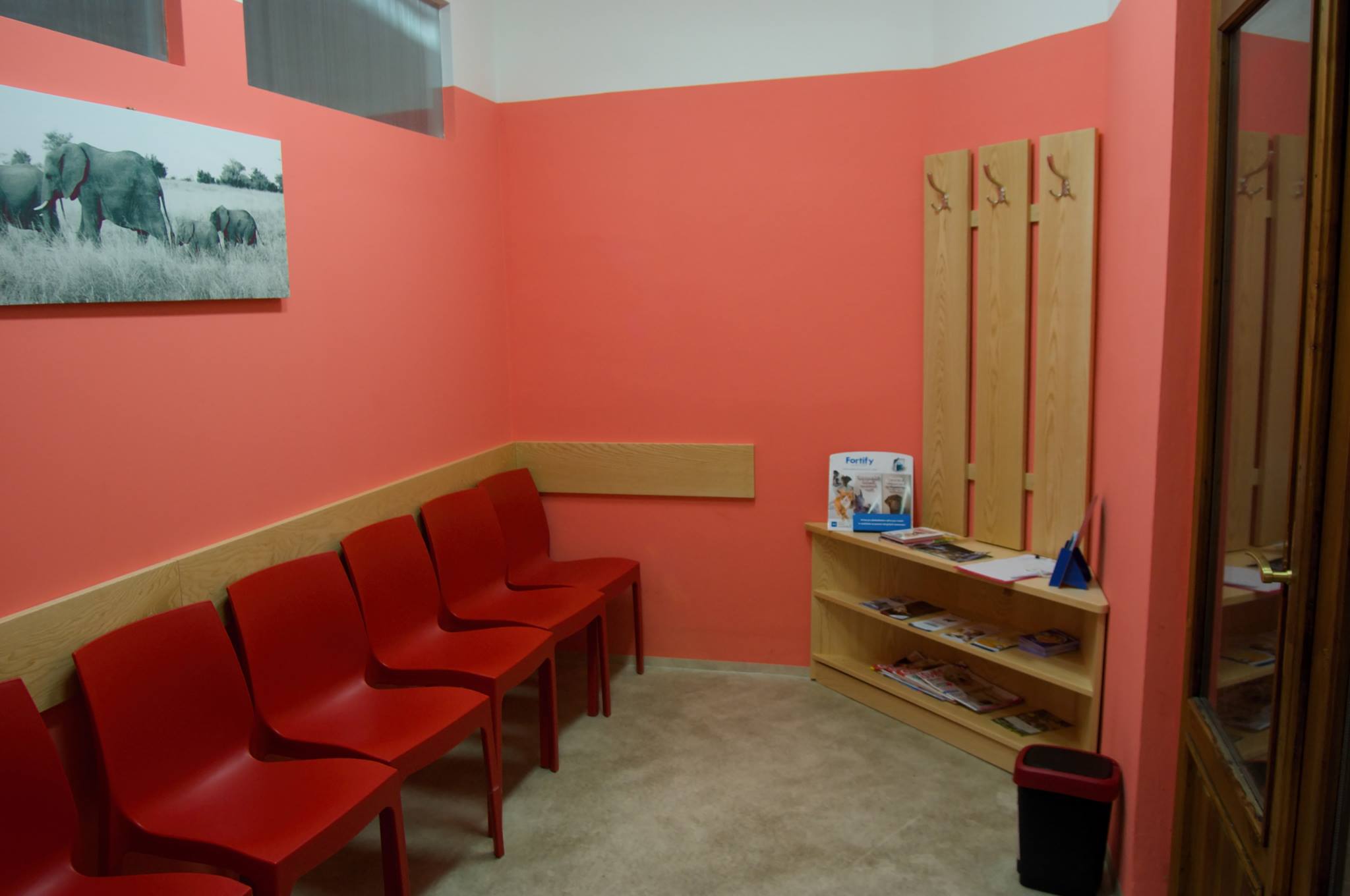 MVDr. Michaela Hejlková - Veterinární ordinace foto 4