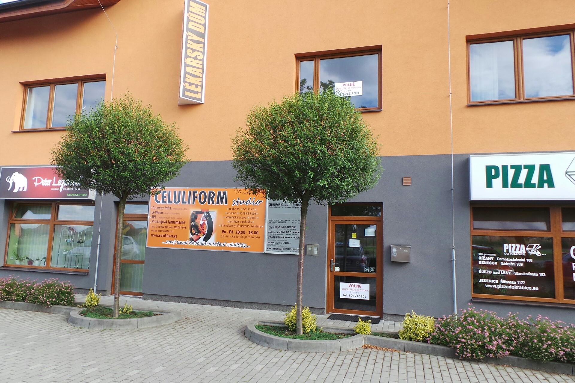 Studio Celuliform