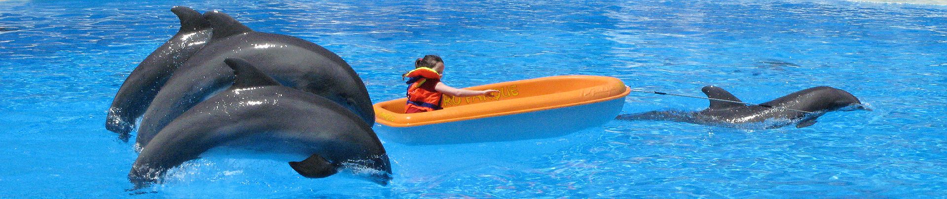 ASSIST - your way - cestovní agentura foto 3