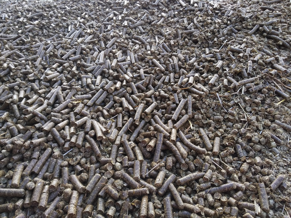 První Obchodní společnost, s.r.o. foto 3