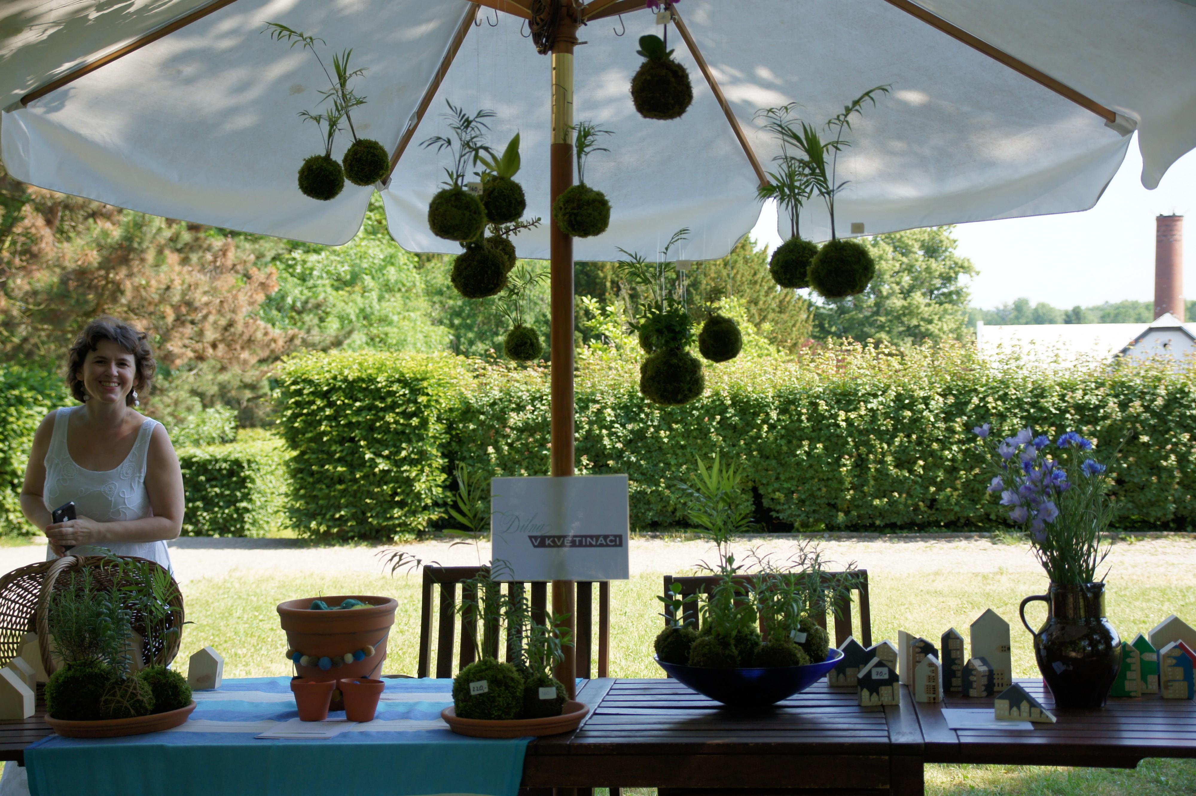 Dílna v květináči