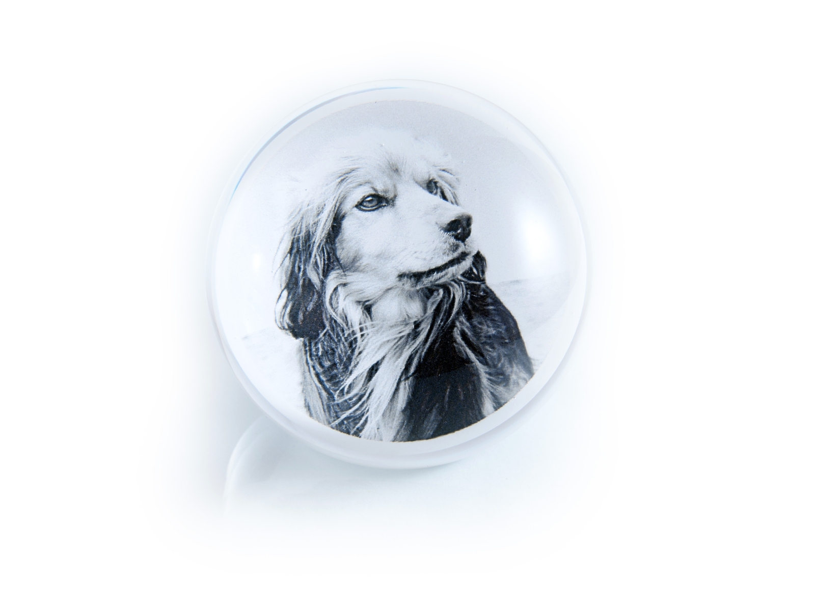 Kotara, s.r.o. foto 4