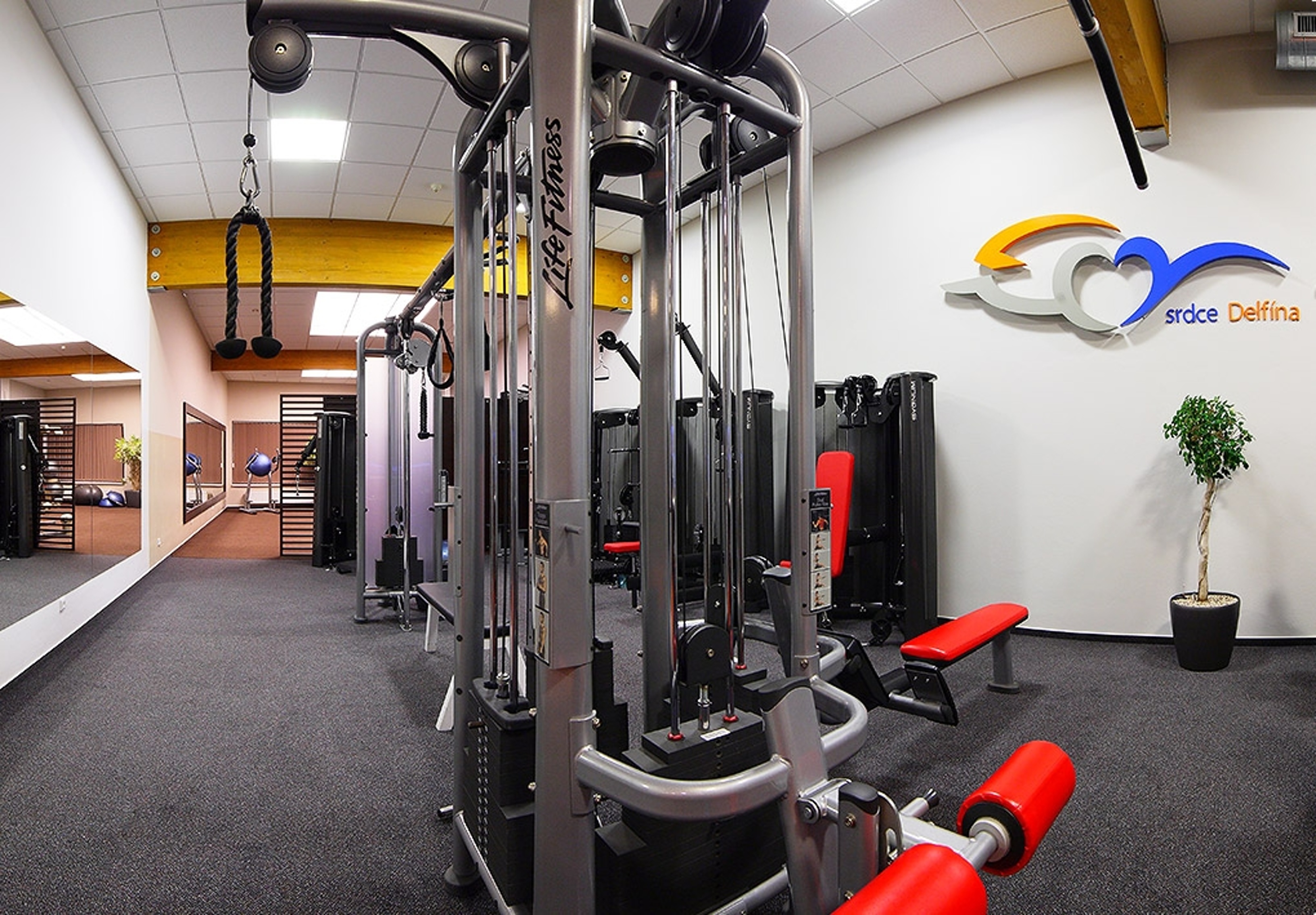 SPORTCENTRUM DELFÍN foto 4