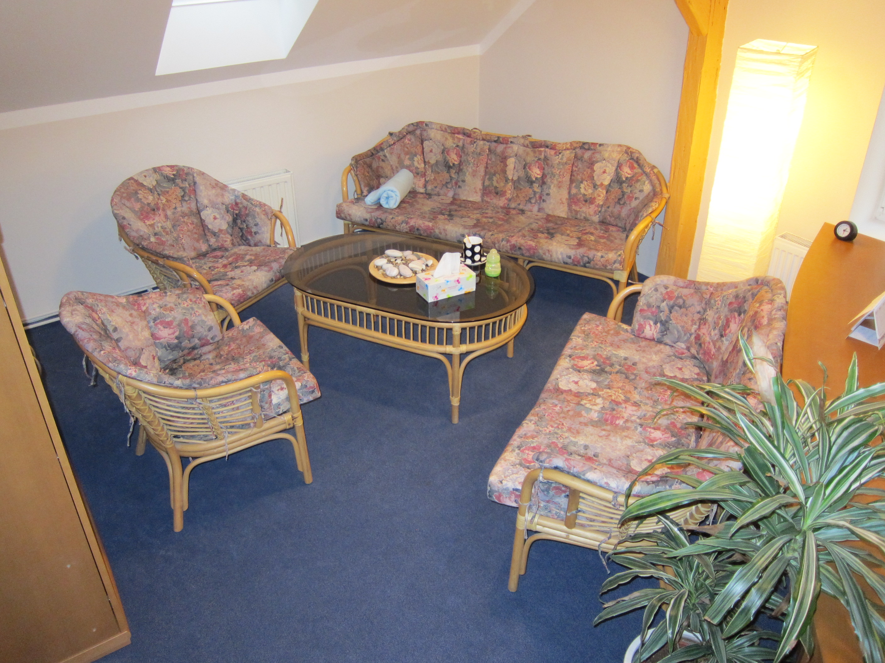 Ing. Ivana Dvořáková foto 3