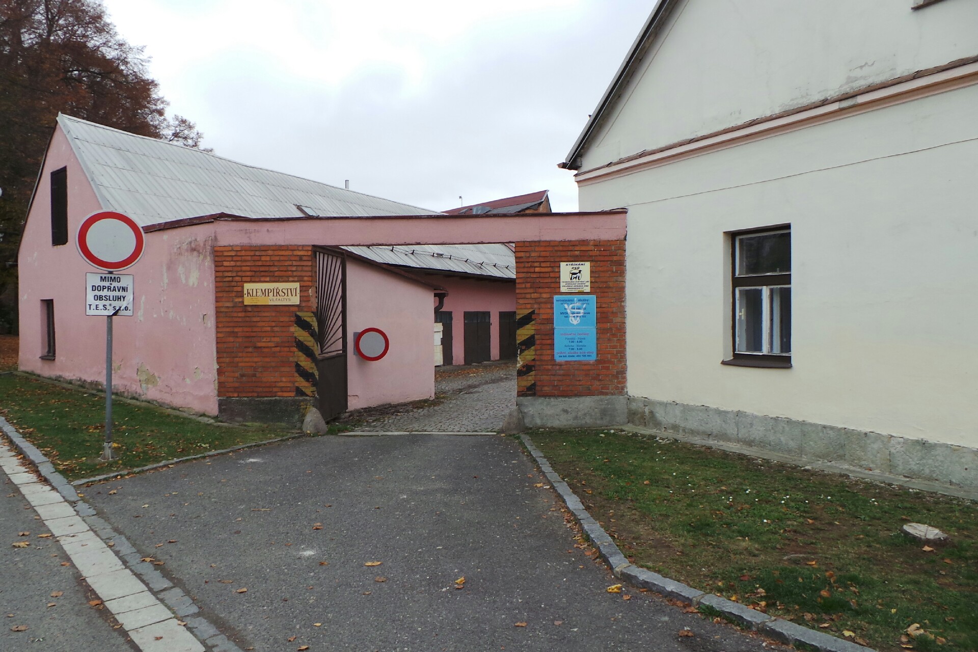 Martina Mencová - Stříhání psů