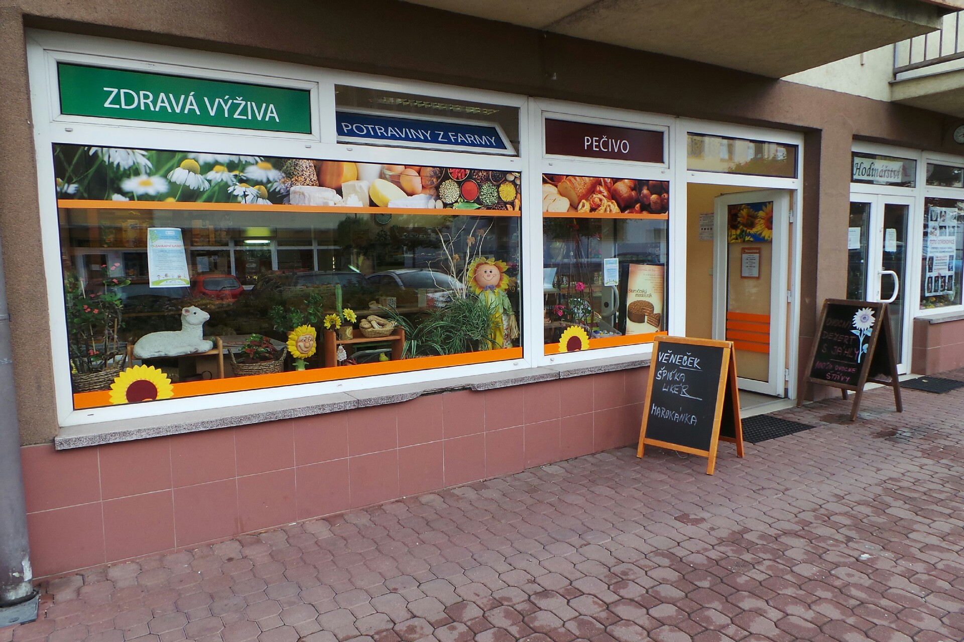 Slunečnice – zdravá výživa