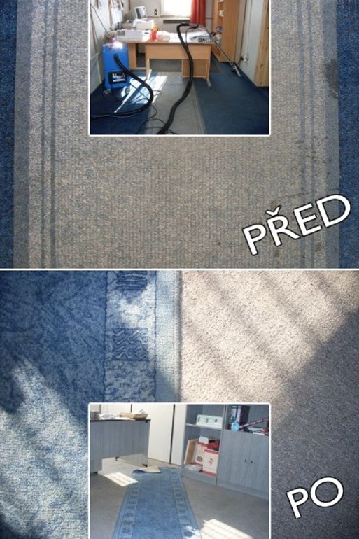 Ryba úklid foto 2