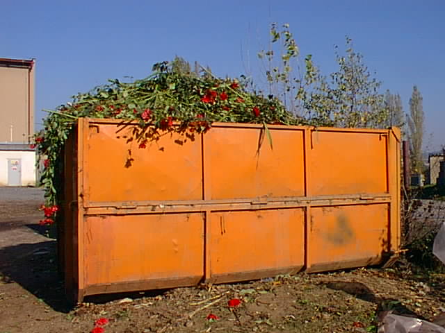 SAP Mimoň spol. s r.o. foto 6