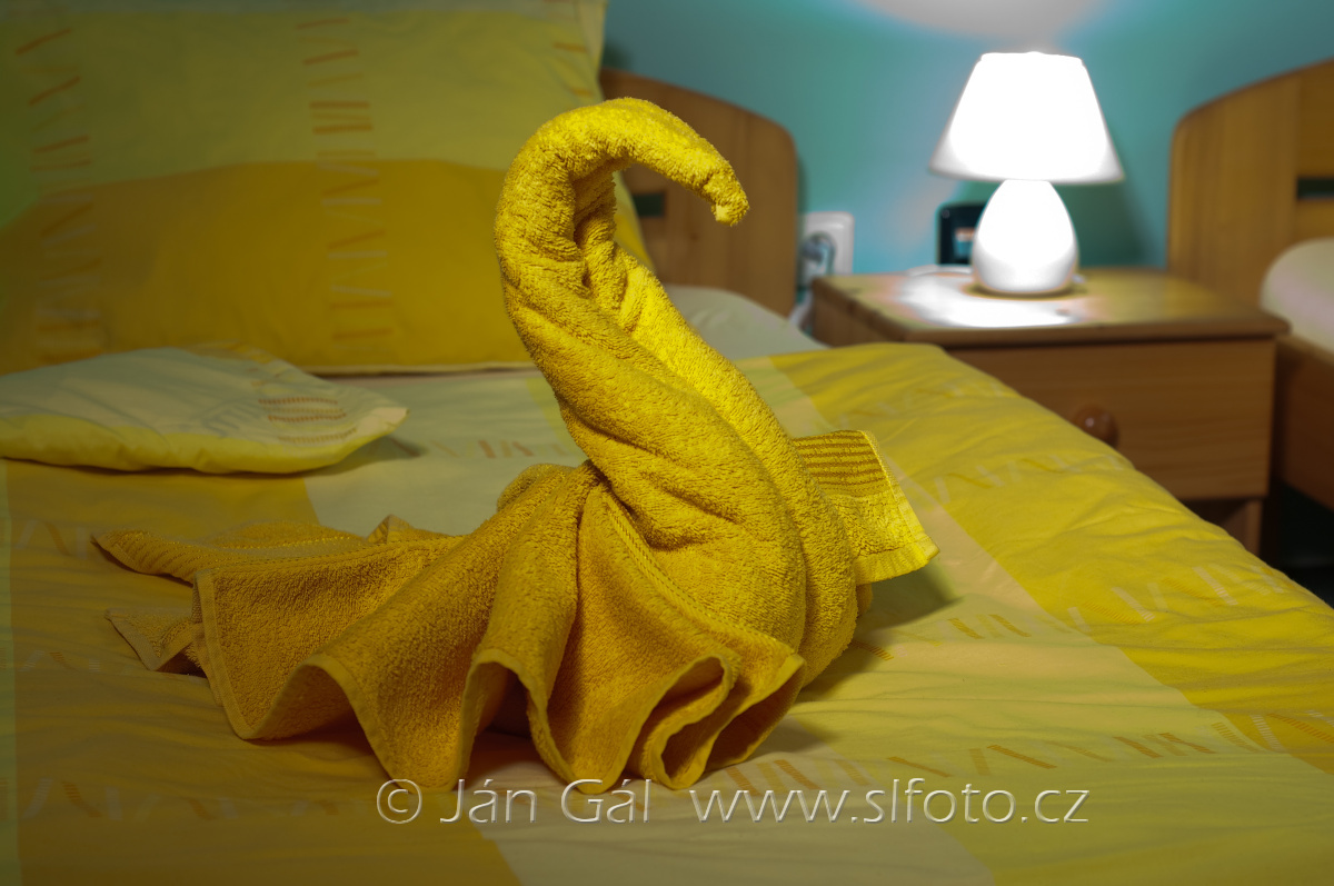 SLFOTO - Ján Gál foto 2