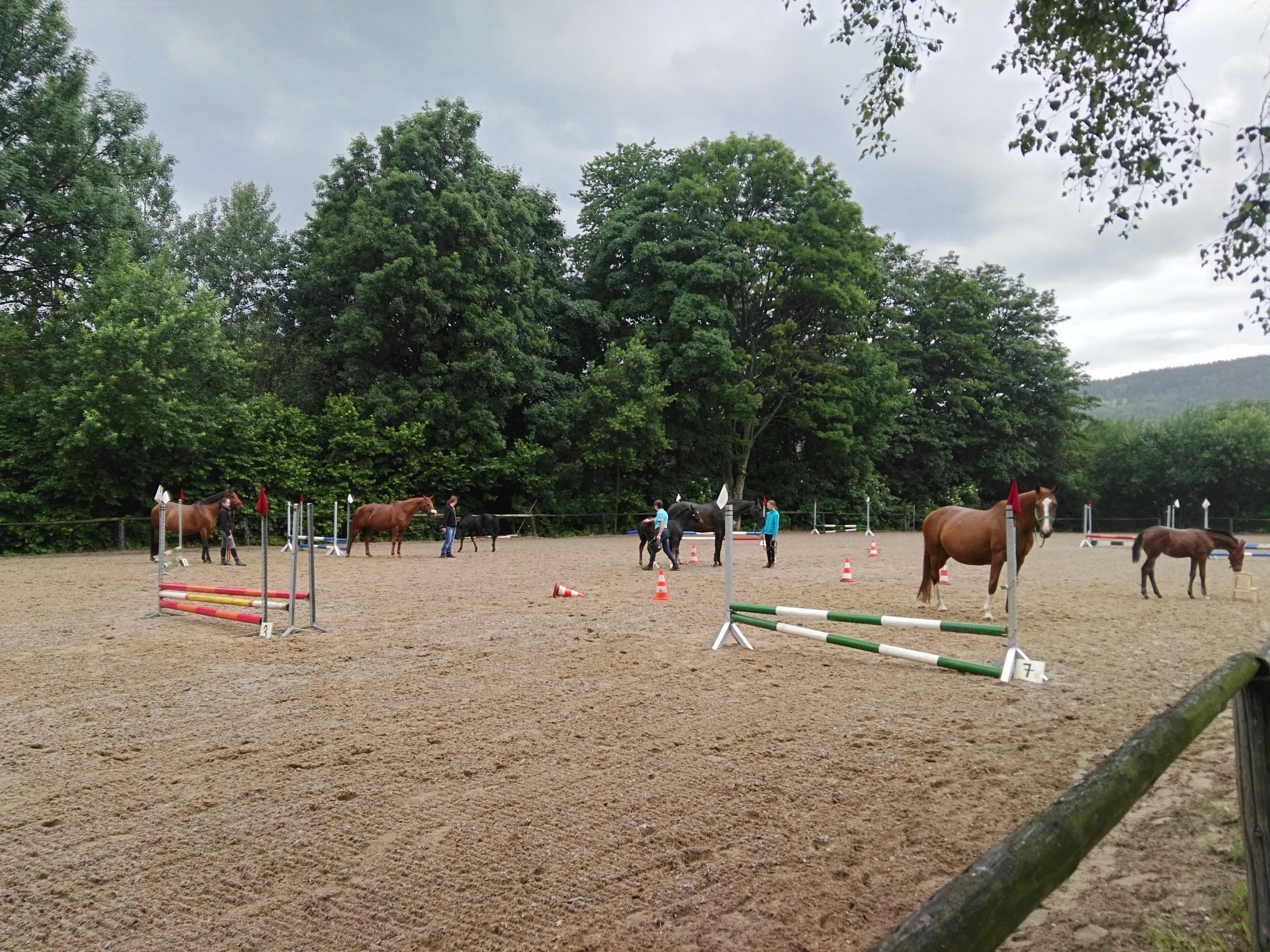 Jezdecký klub ADAM foto 2