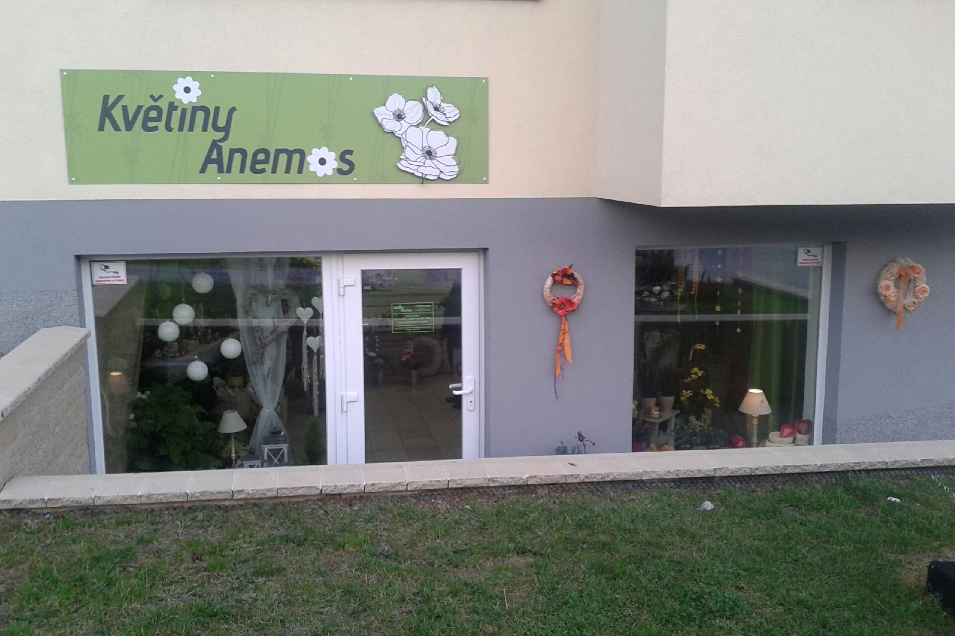 Květiny Anemos foto 1