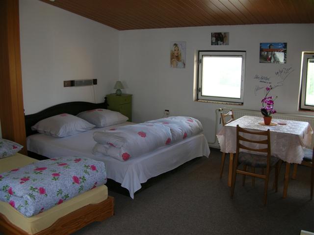 Pension u Kopeckých foto 3