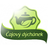 logo Petr Novotný