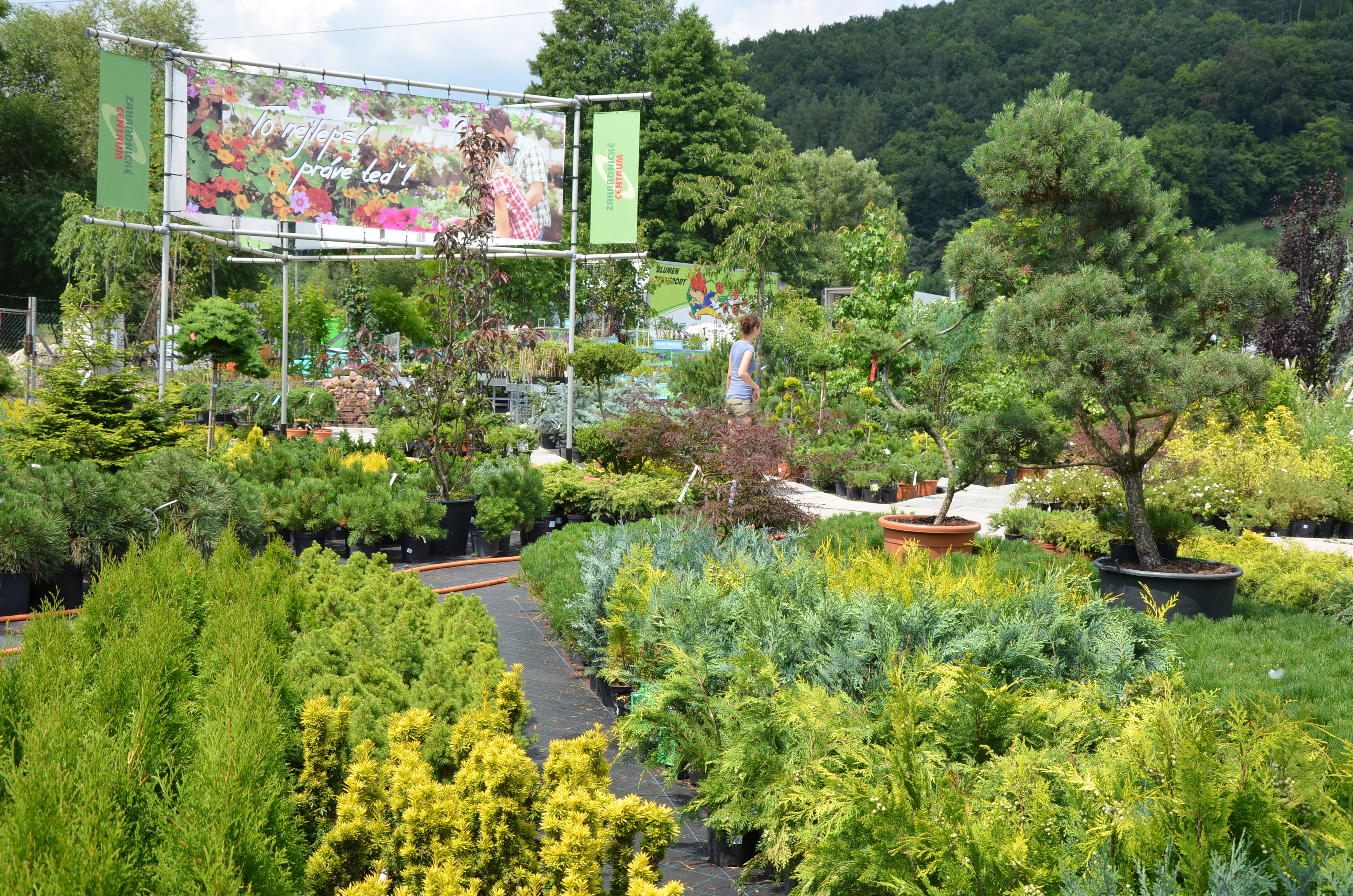 Zahradnictví u Kopřivů, s.r.o. foto 2