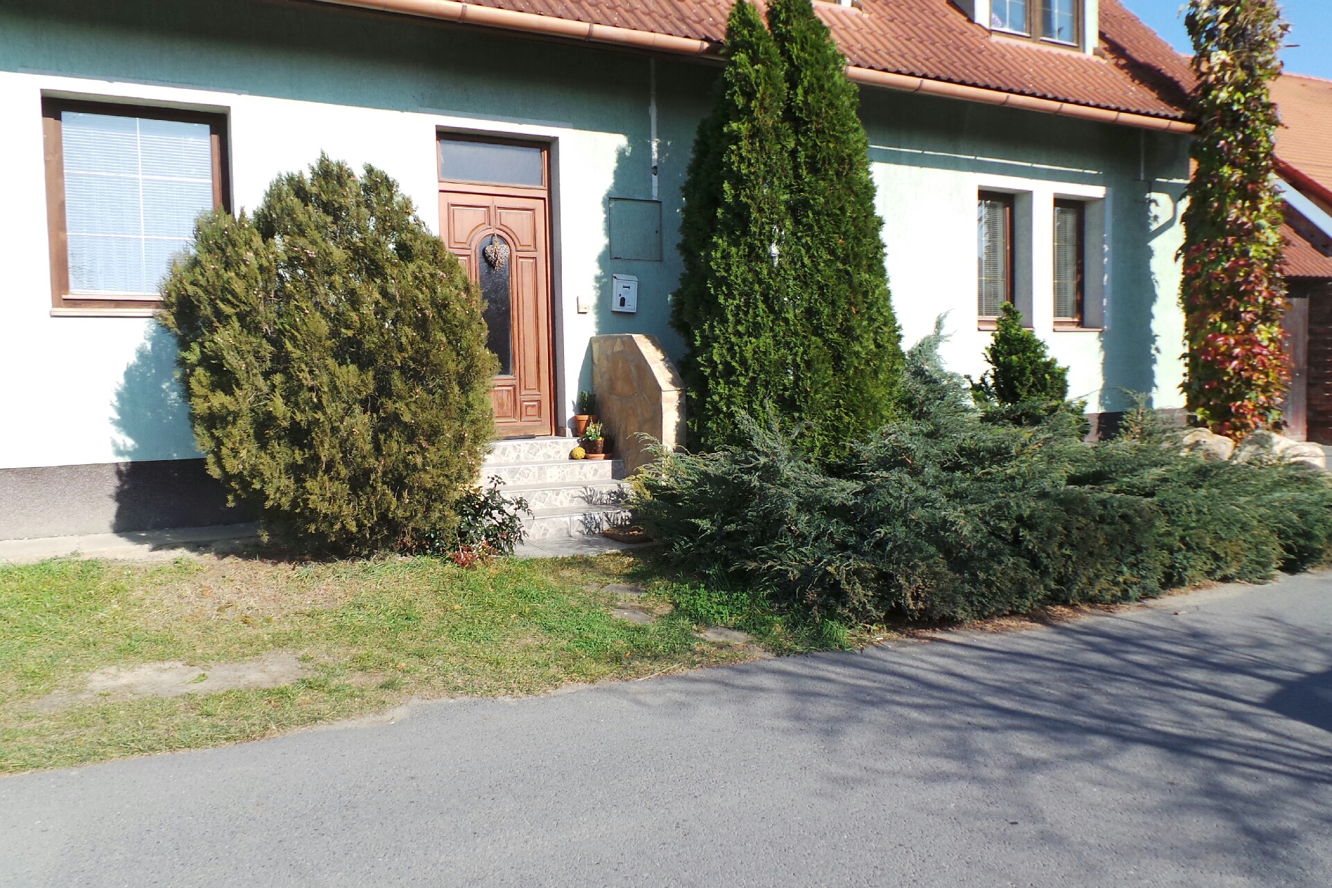 Ing. Tomáš Trtek foto 1