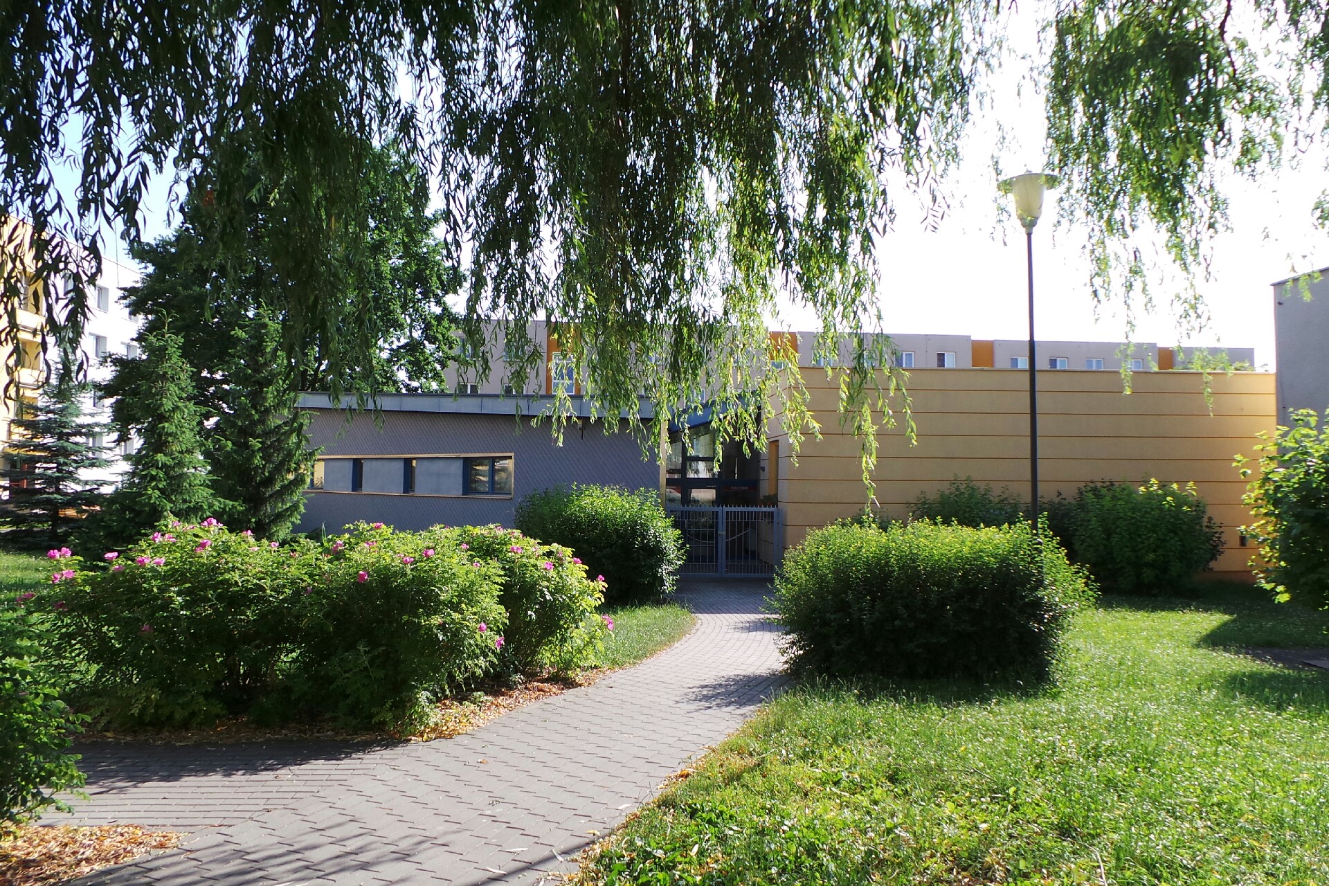 Městská knihovna Dobruška foto 3