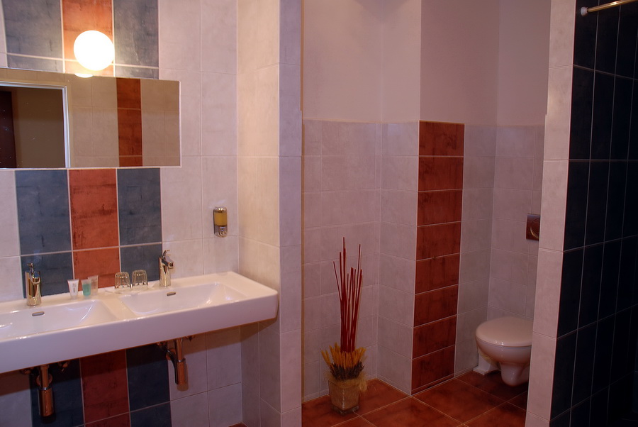 Hotel Karlin foto 3