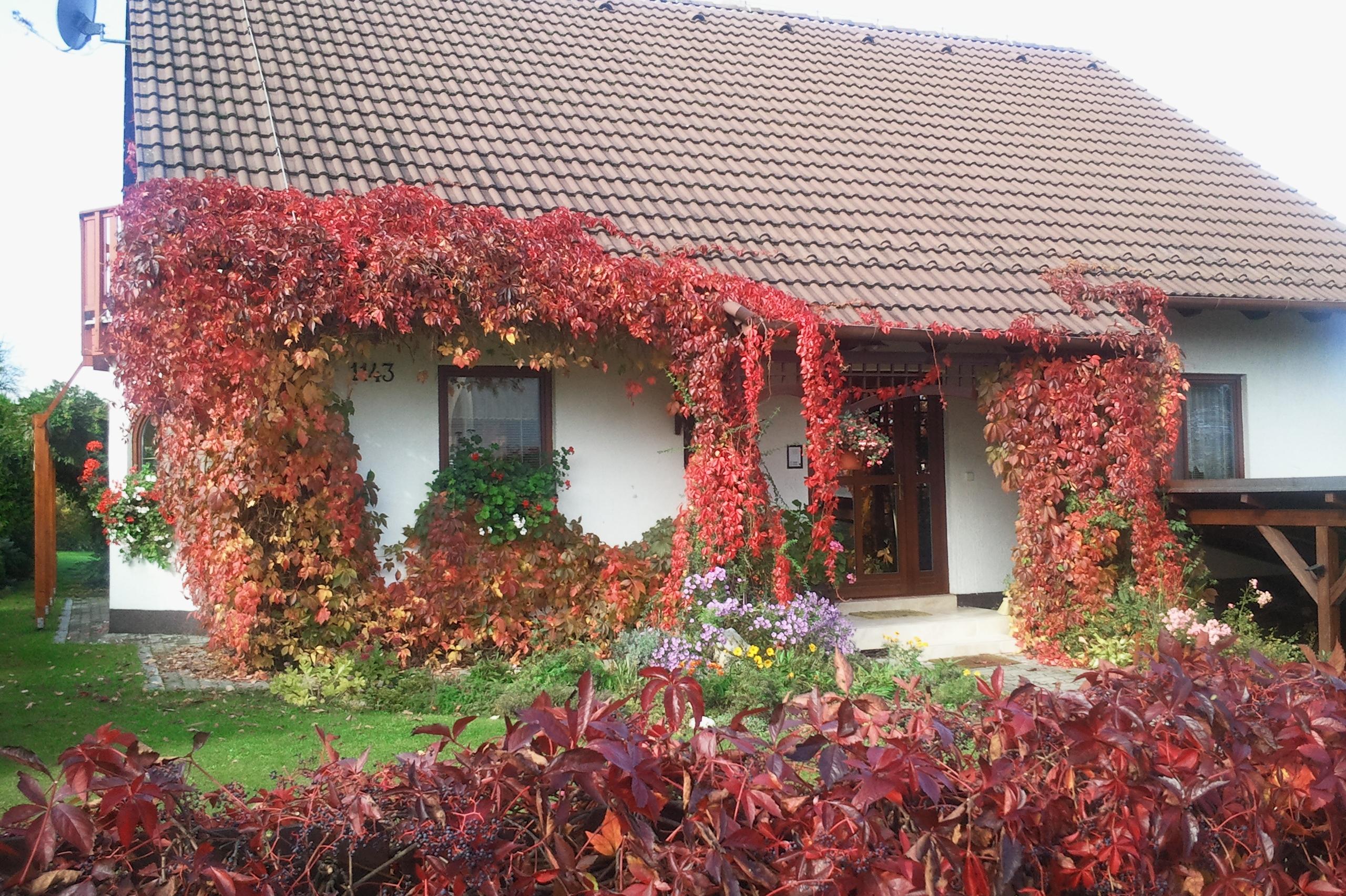 Energetický specialista Ing. Pavlína Pelčáková foto 2