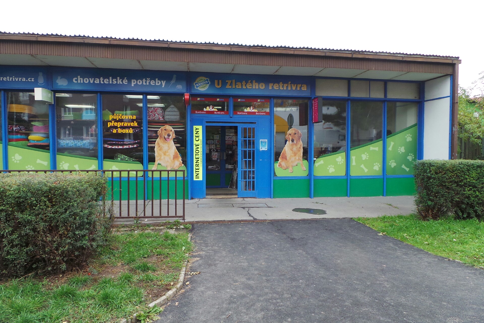 U Zlatého retrívra