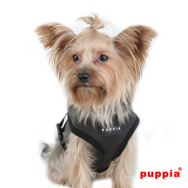 Luxurydog.cz foto 3
