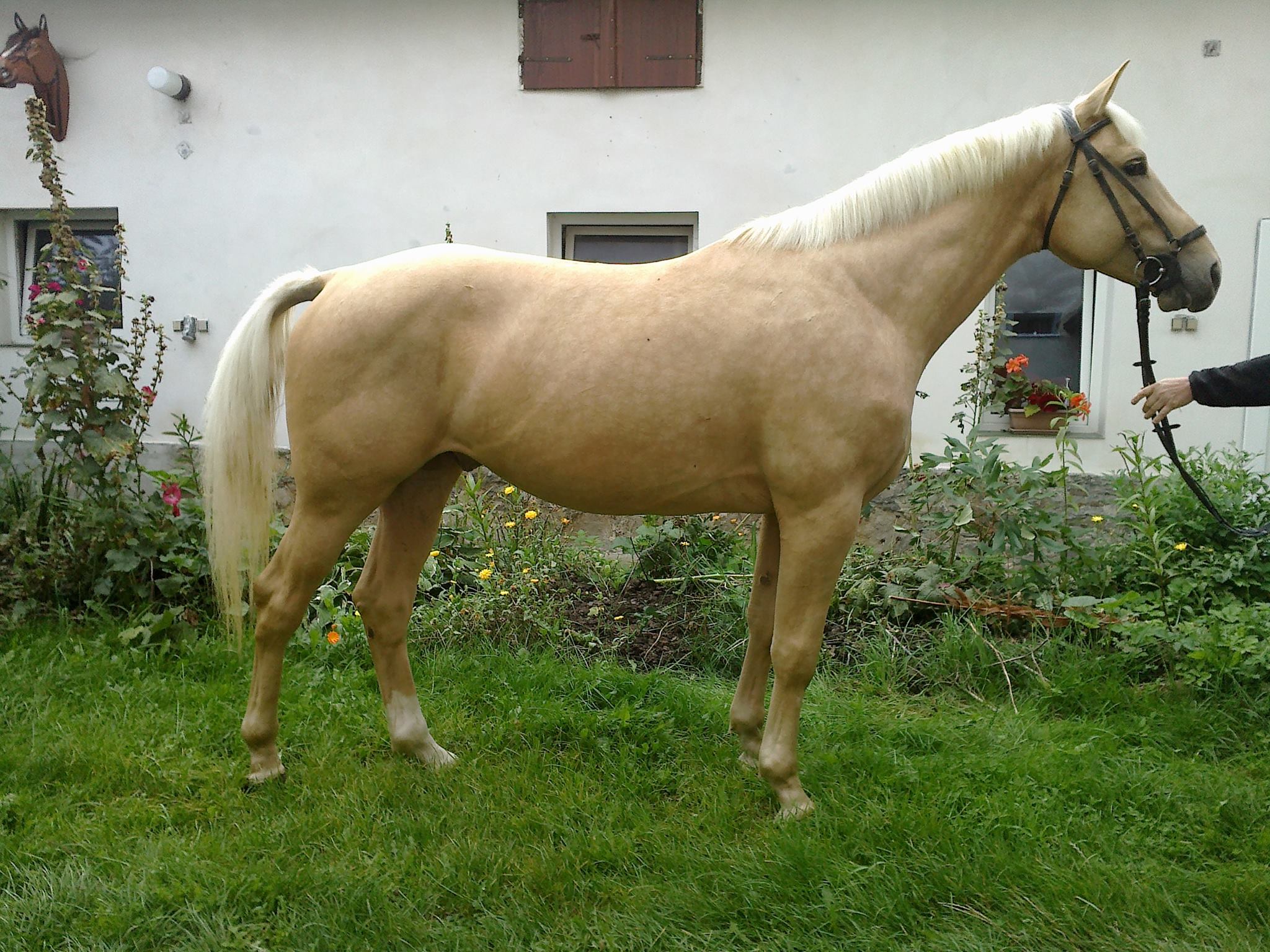 Miloš Valenta foto 2