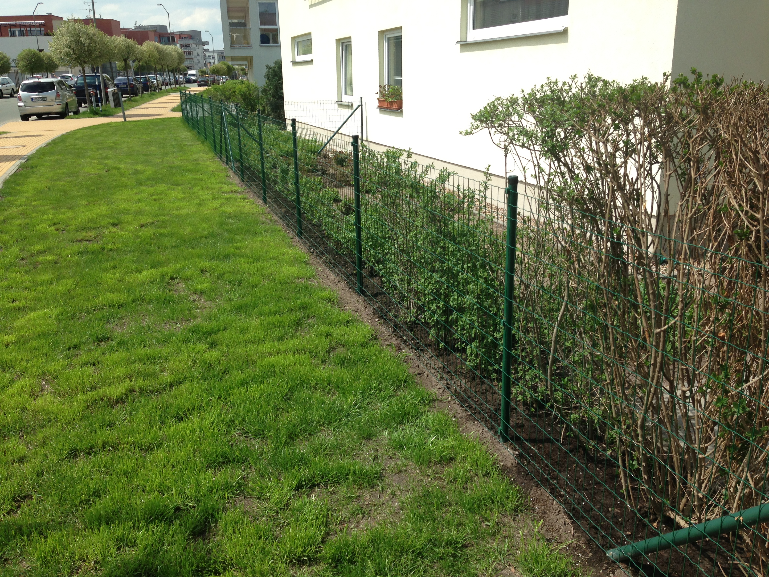 AMSTOR s.r.o. foto 5