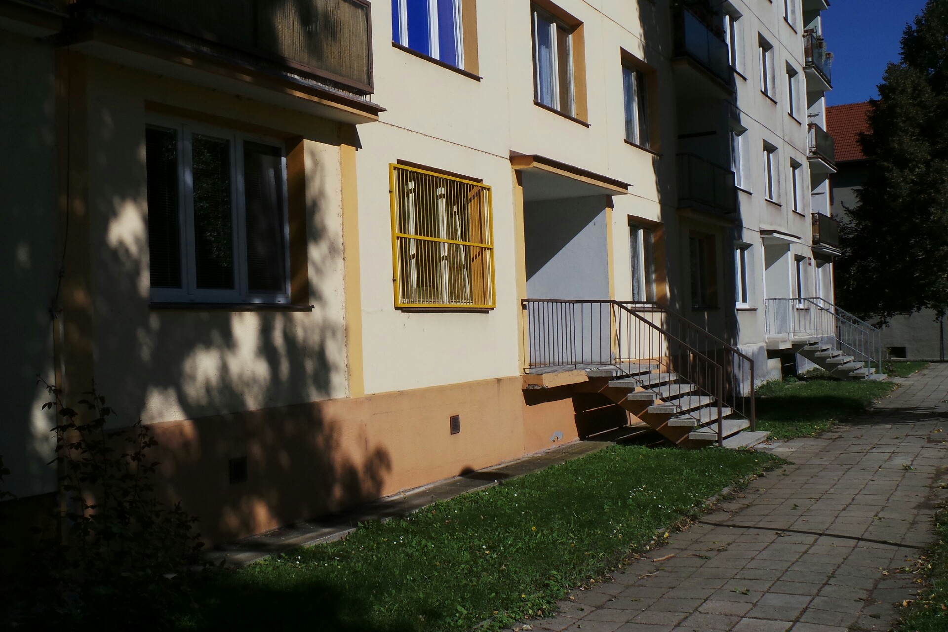 Pavel Jelinek - Čištění koberců