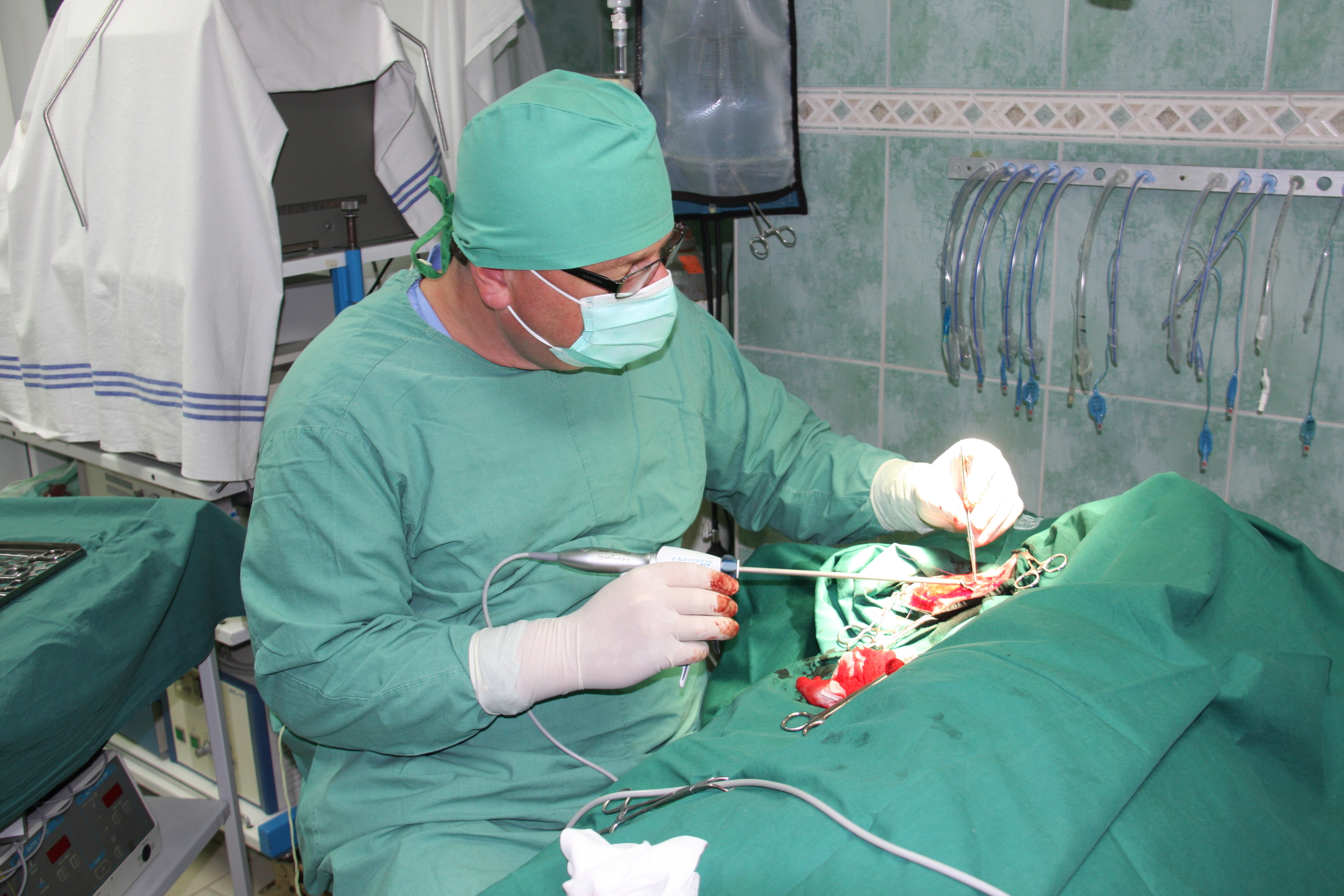 Veterinární klinika Zodiacus 97 s.r.o. foto 4