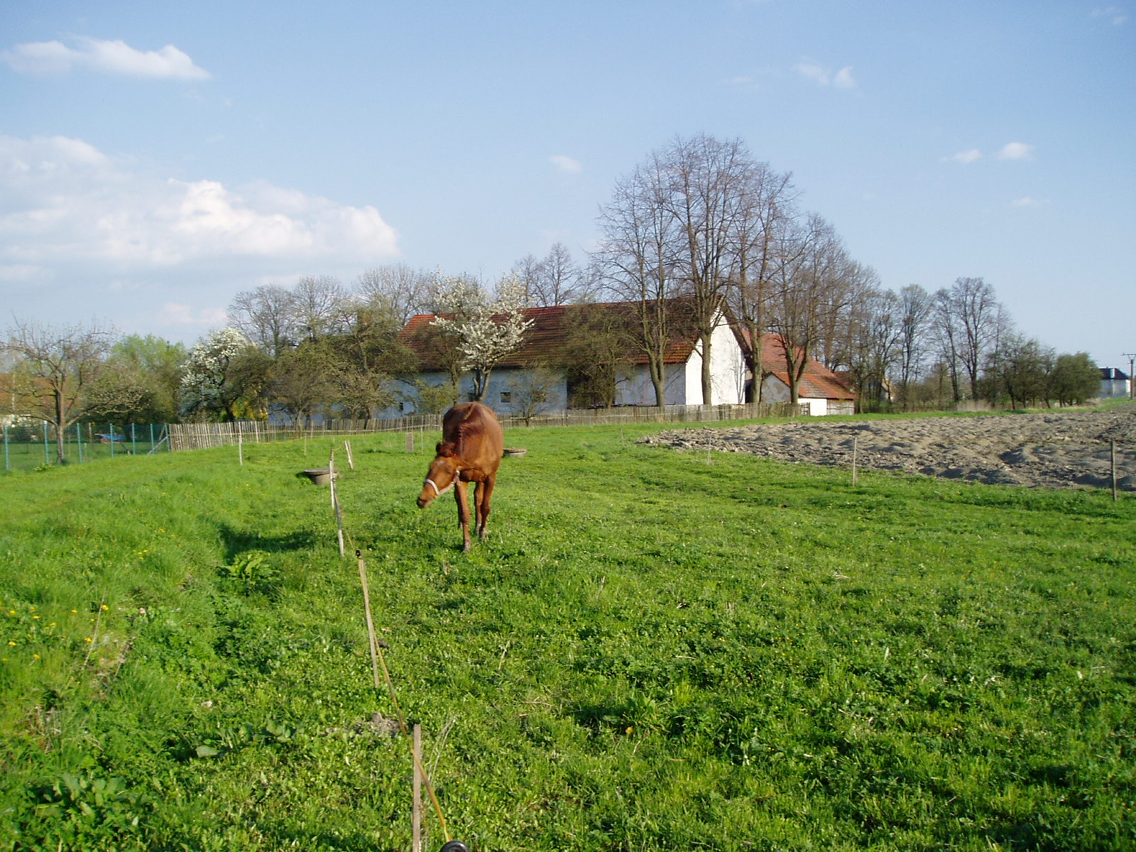 Byzhradec - obecní úřad foto 6