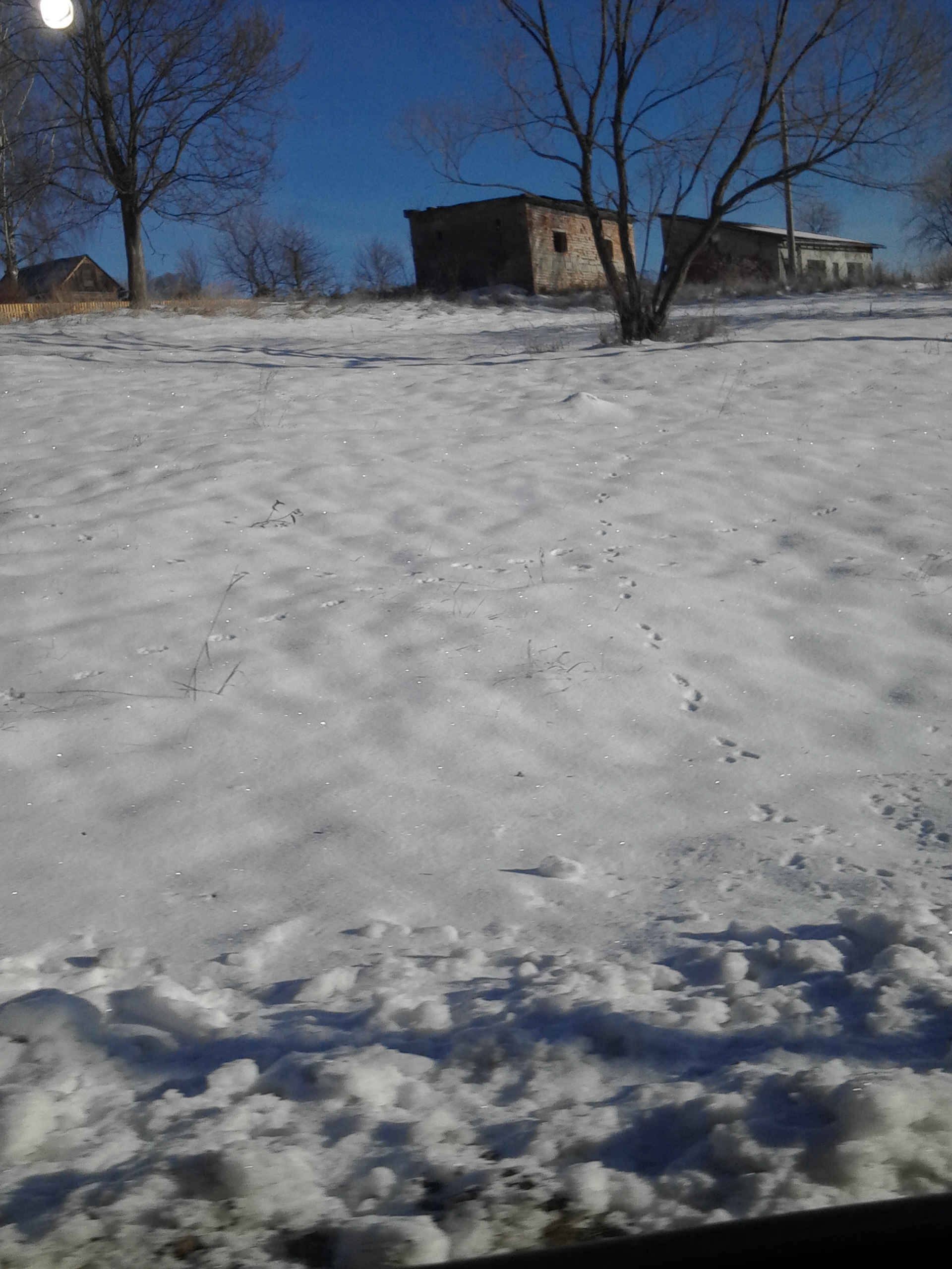 ZŠ, Brno, Holzova foto 2