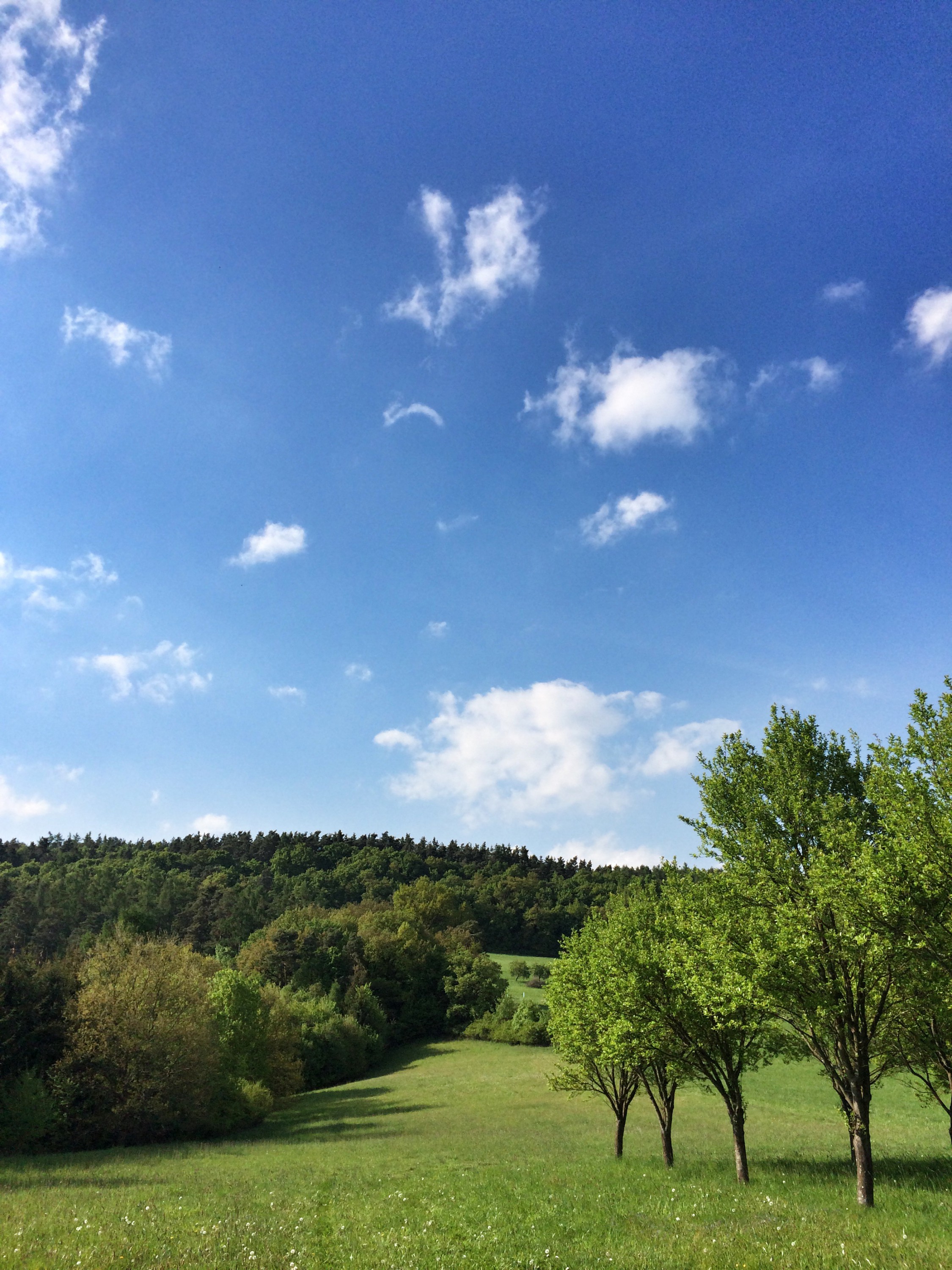 Ekofarma Country Life foto 4