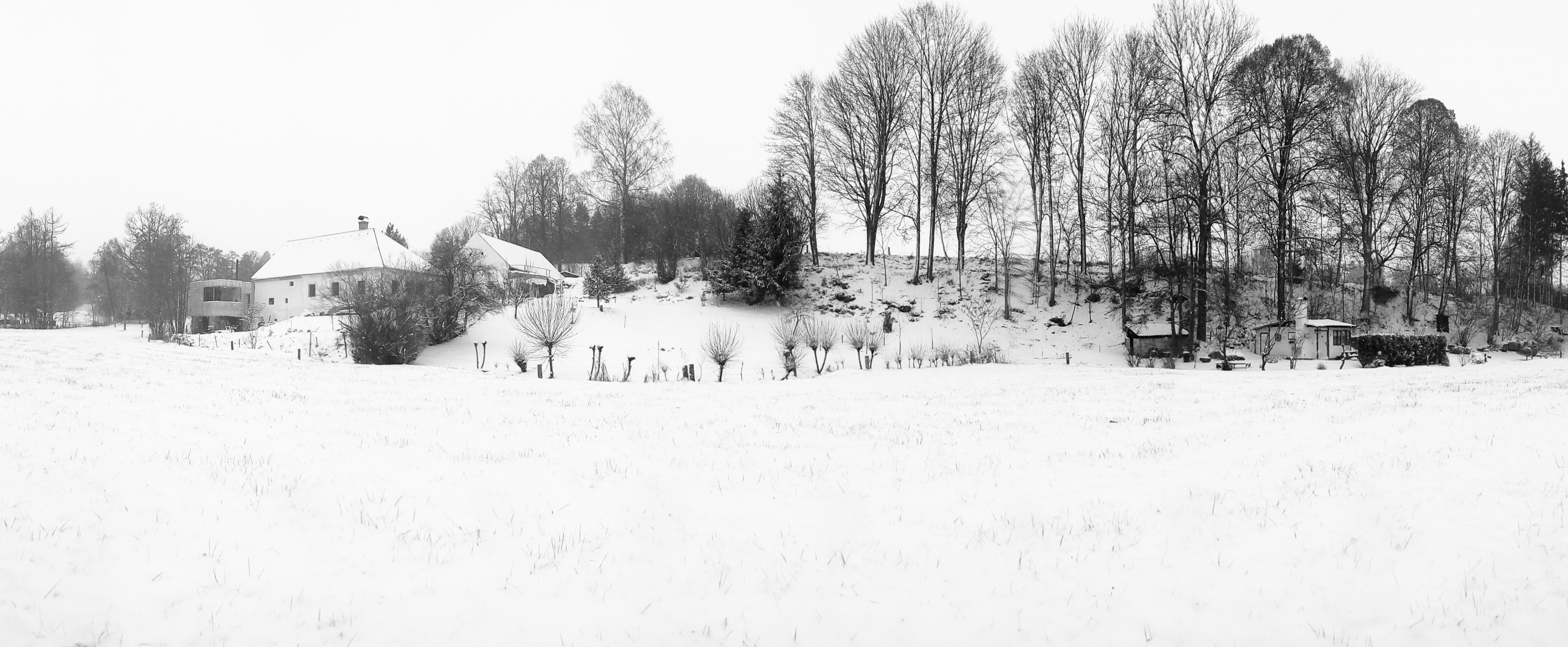 DREBO - Ing. David Bőhm foto 1