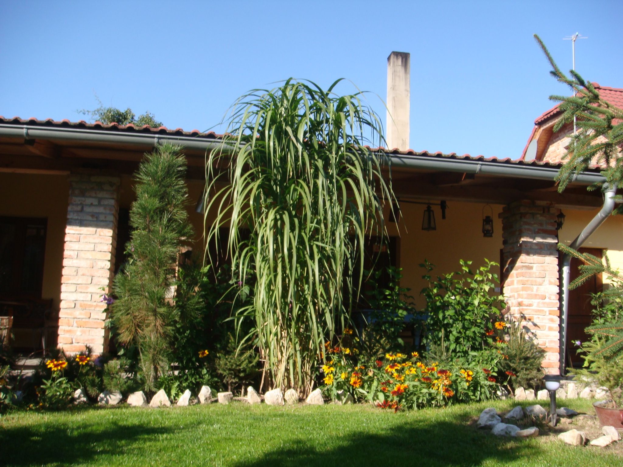 Penzion B&B Villa Filippa foto 4