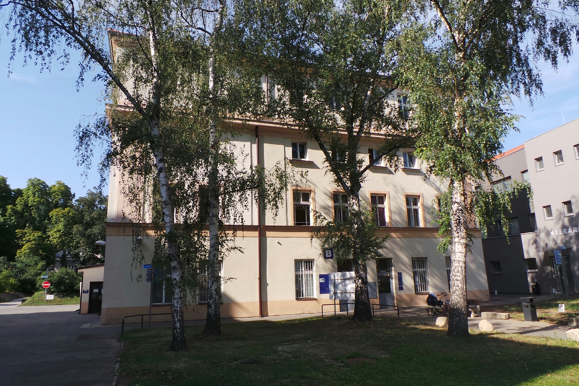 PhDr. Dagmar Pechová, psychologická péče o děti a dorost foto 1