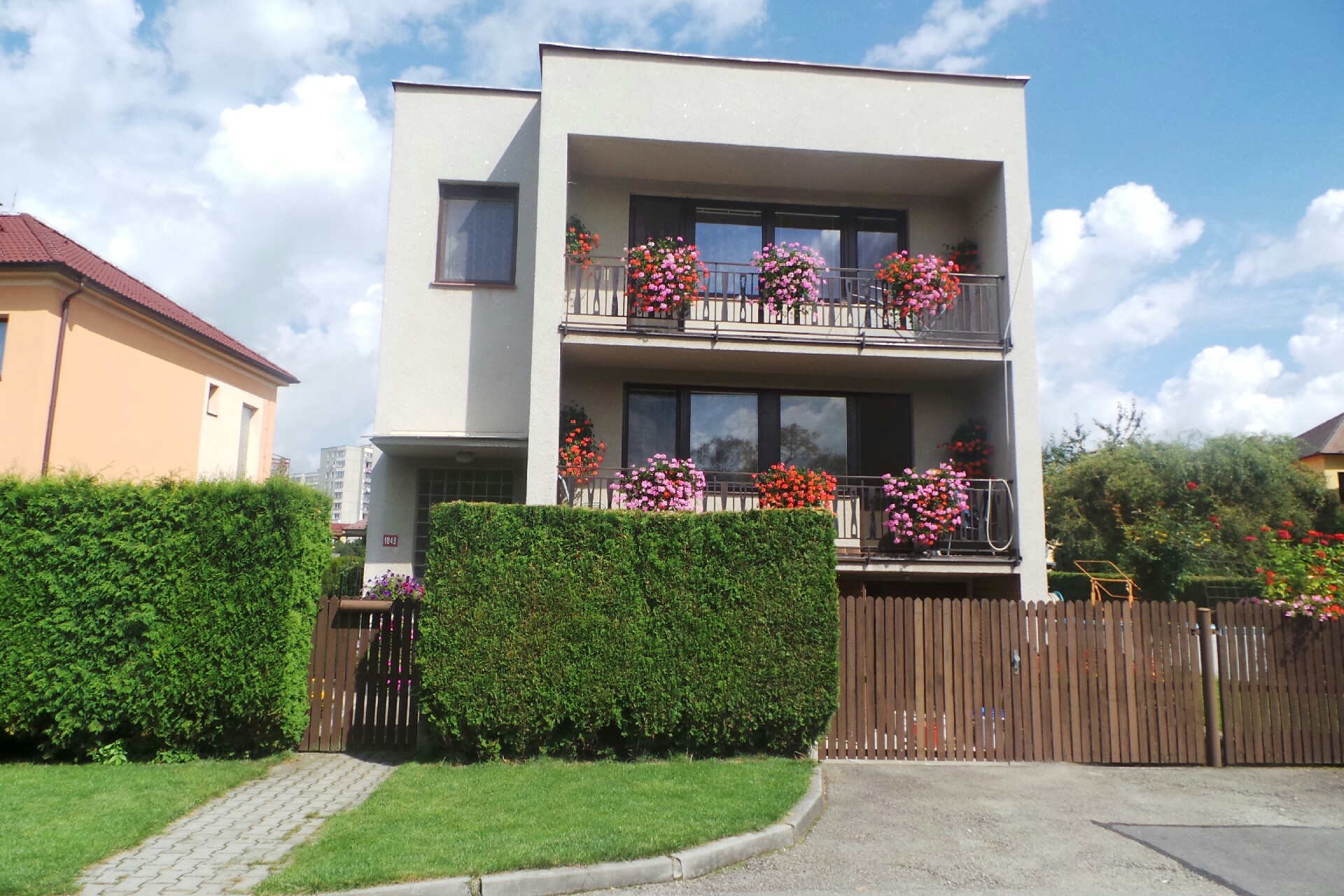 Alena Janovská, DiS. - ALNOCA