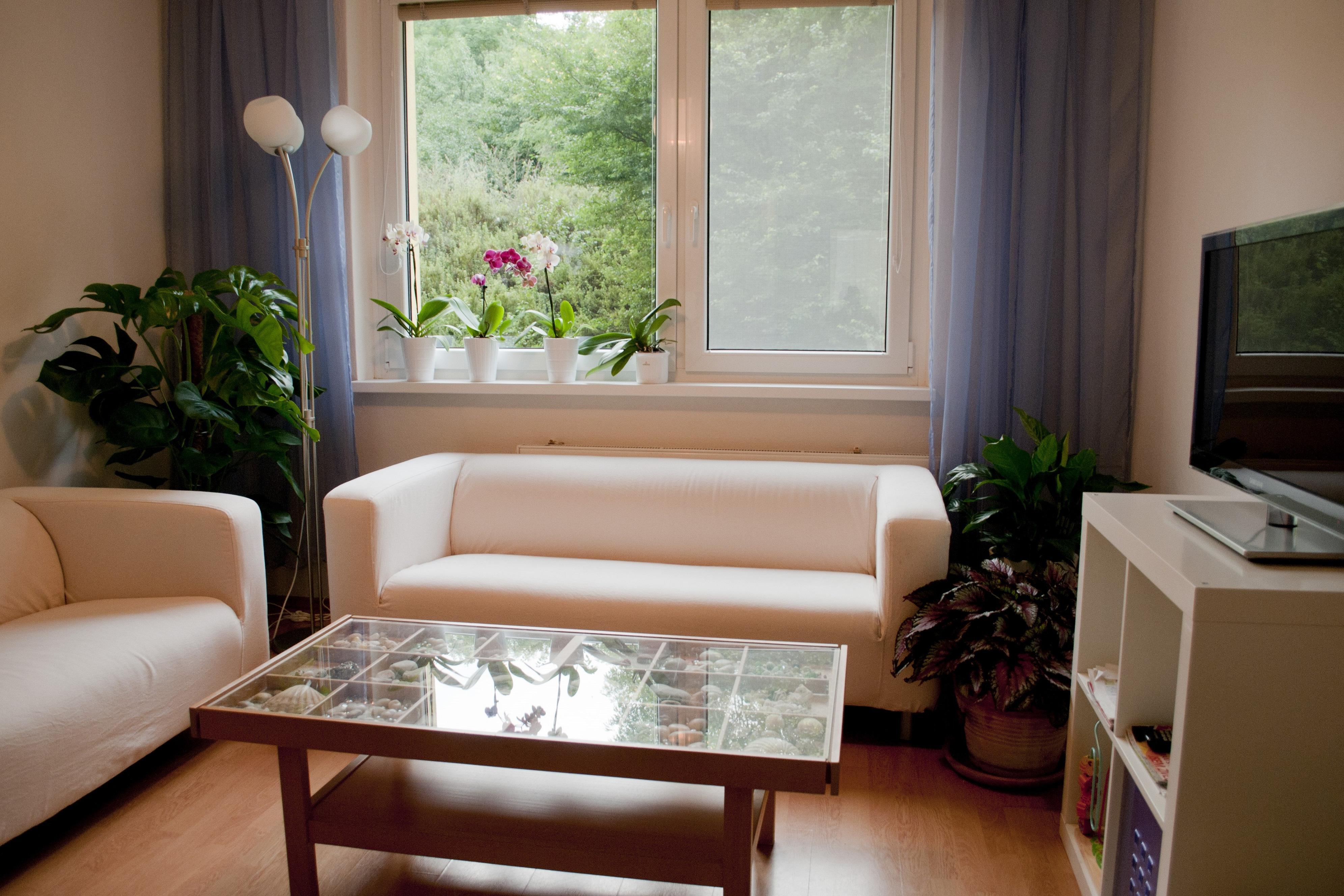 Stomatologie CLARIS, s.r.o.