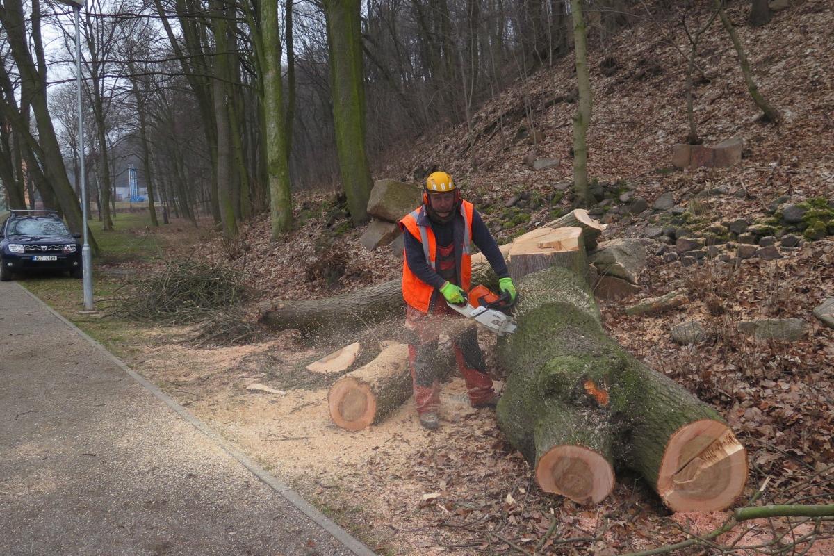 ARBO Šanov CZ s.r.o.